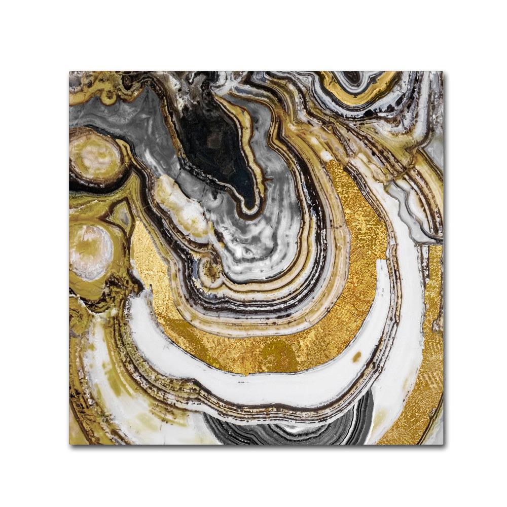 Trademark Fine Art ALI4930-C1818GG Wall-Art - View #2