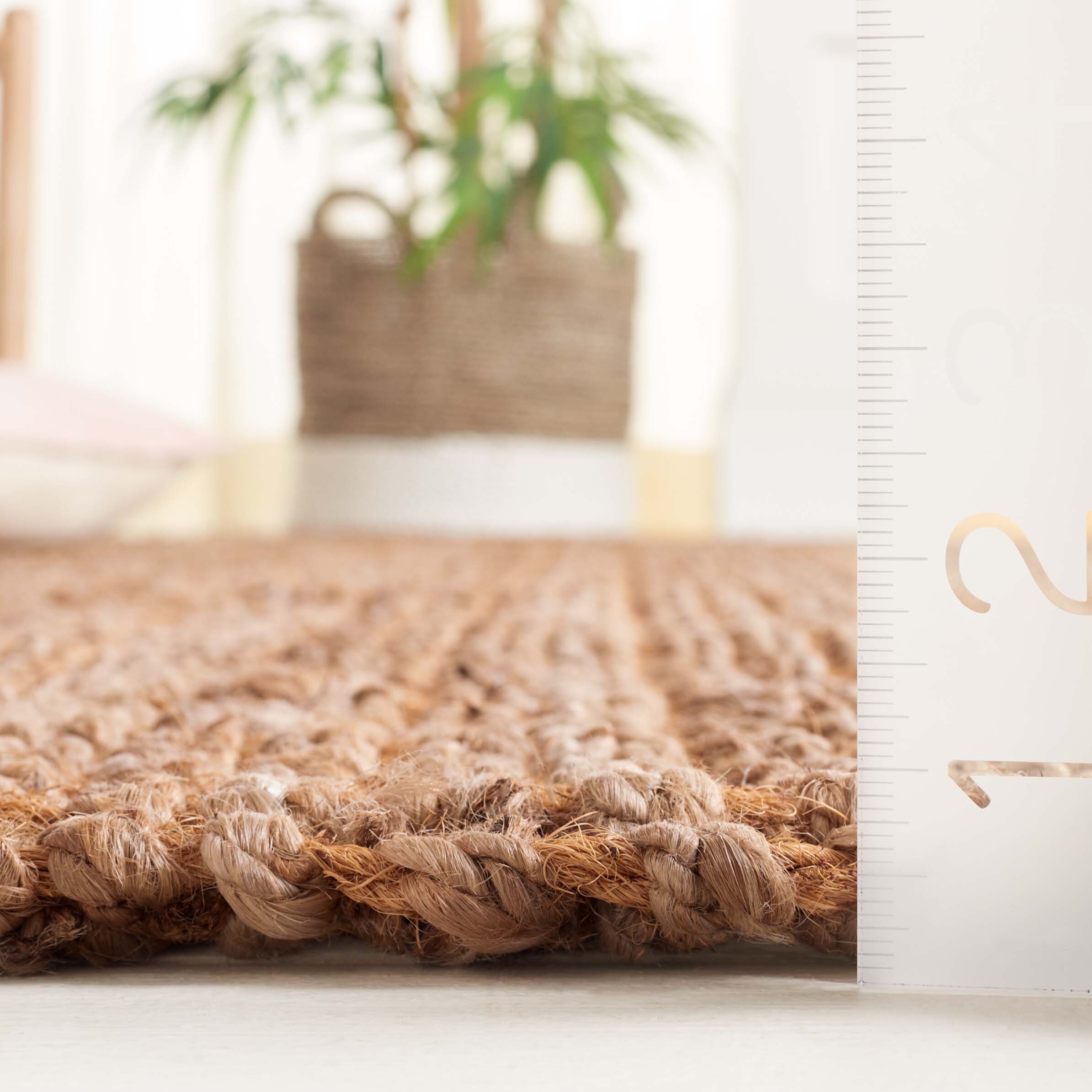 Safavieh NFB576A-5 rugs - View #6