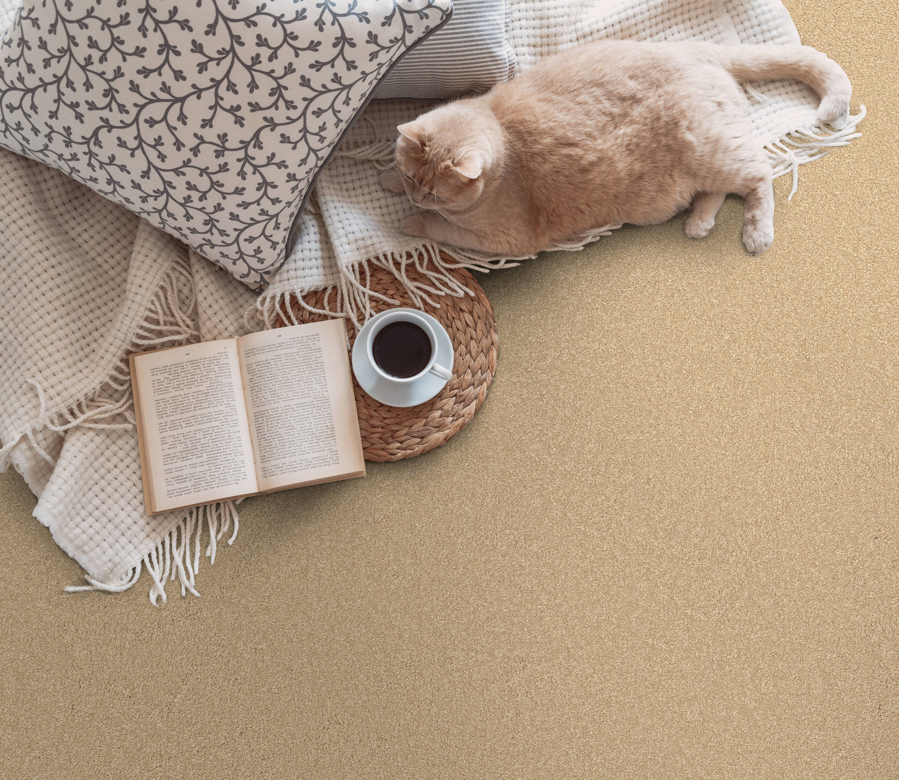 STAINMASTER PetProtect 7L88200110 Carpet-Panel - View #3