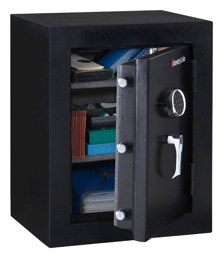 SentrySafe 3.39-cu ft Fireproof and Waterproof Home Safe with ...