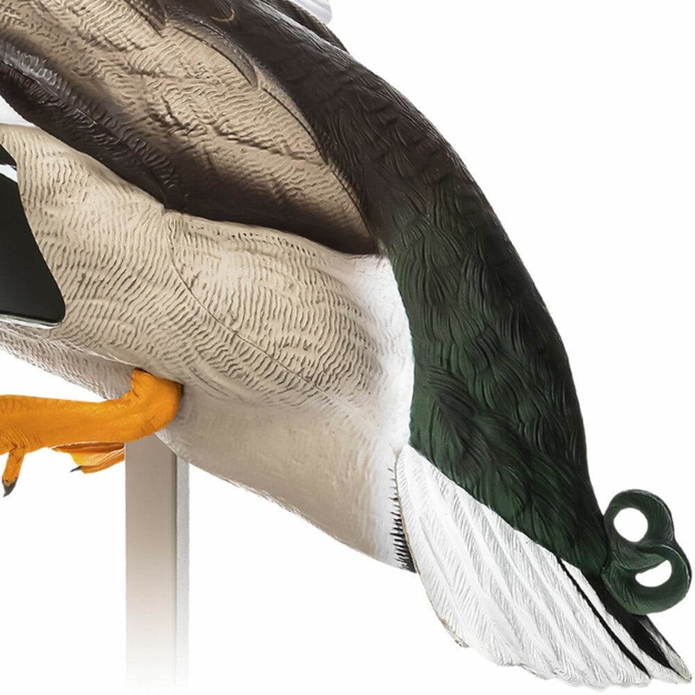  Avian X 408527 Hunting-Equipment - View #12
