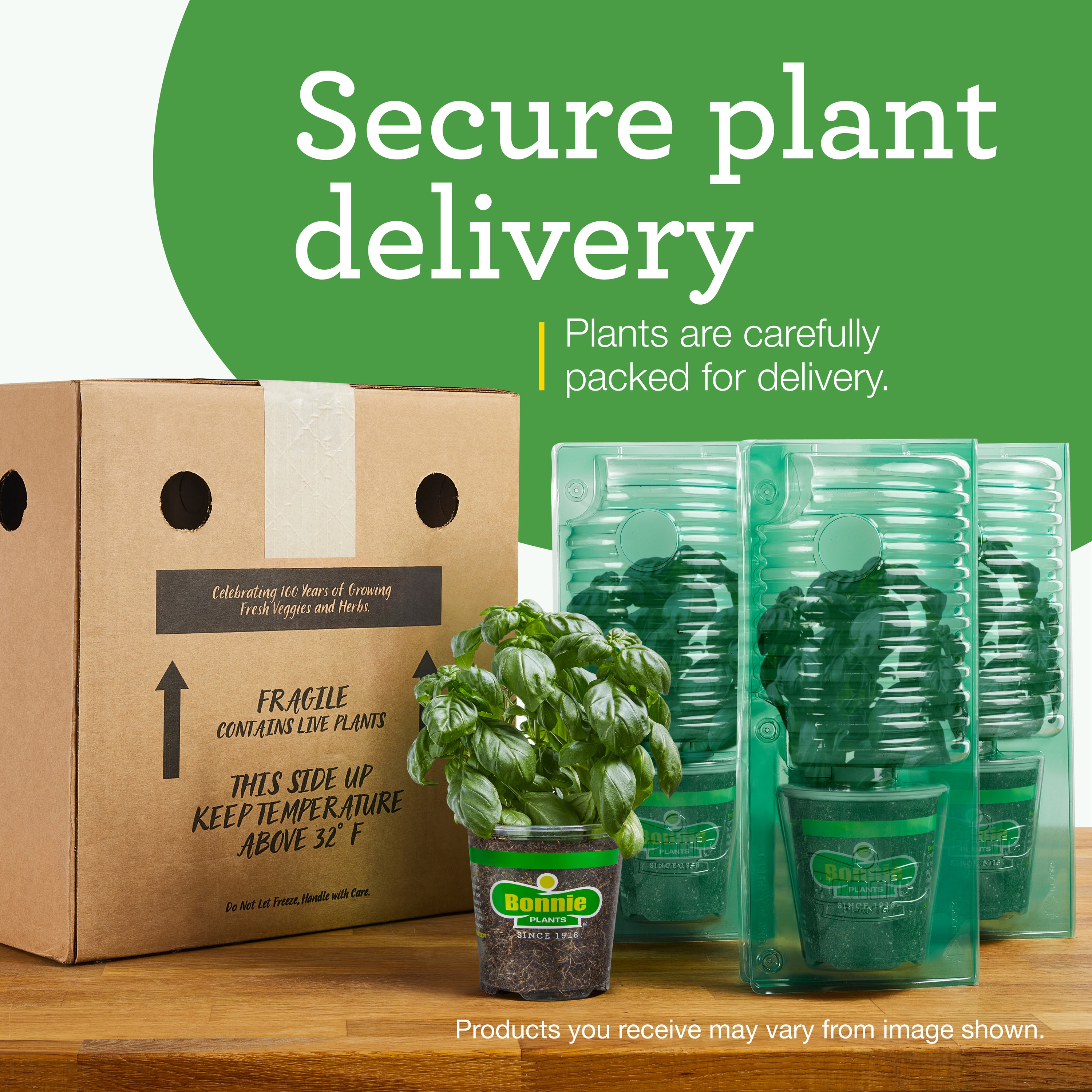 Bonnie Plants 202000 Vegetable-Plants - View #8