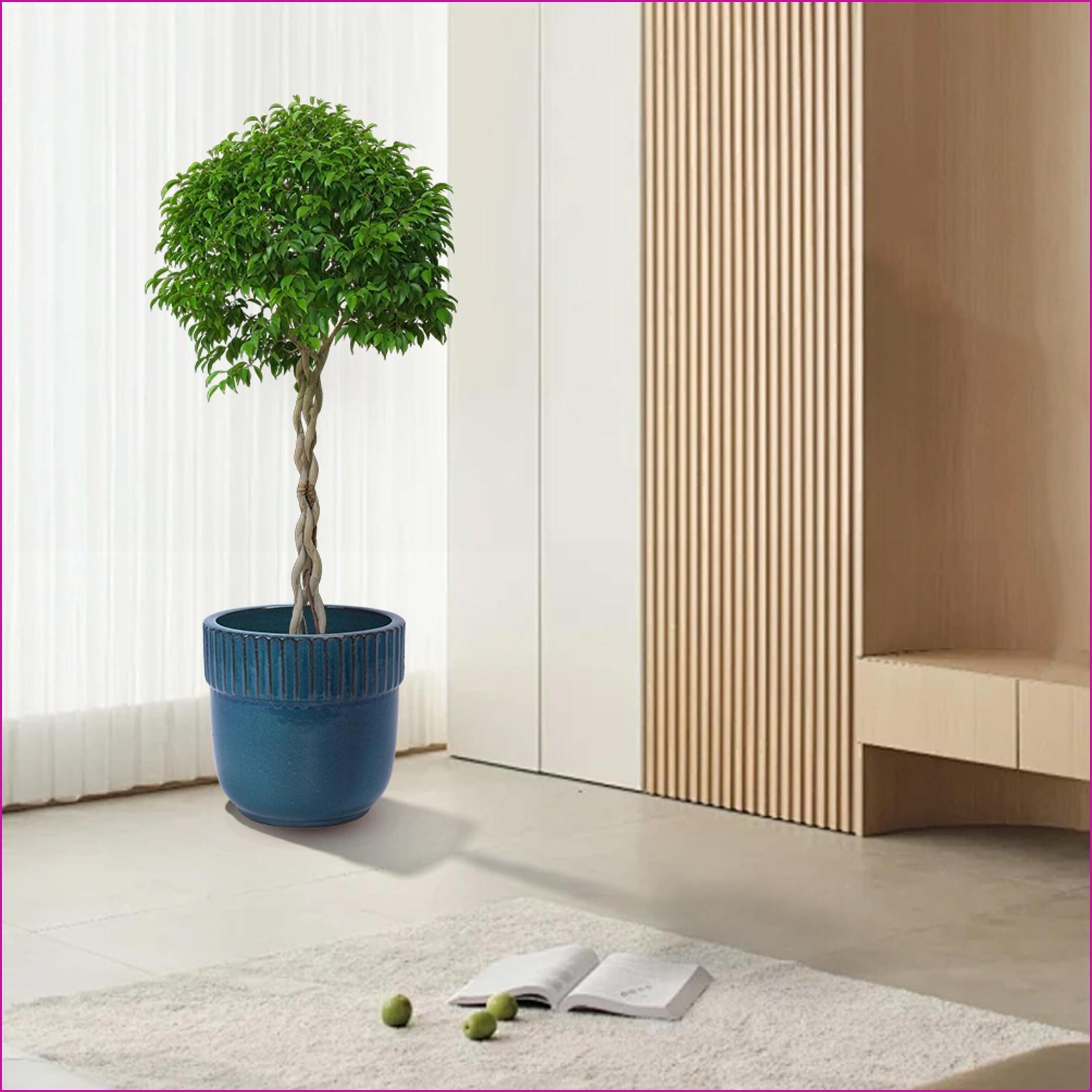 Watnature NM326BJO0DCZ Planter-Window-Box - View #13