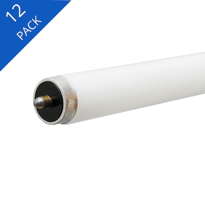 70,000 Year Lifespan, GE 32133 Glass LED Tube Lamp Frosted Pack of 20 4000K DLC 80 CRI UL Daylight White 