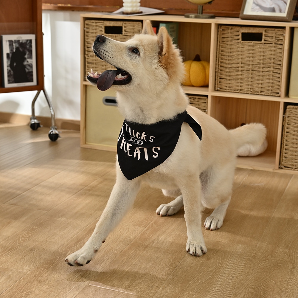 Haunted Living YL1224 Dog-Clothing-Acc - View #5