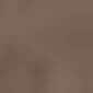 Brown & Beige