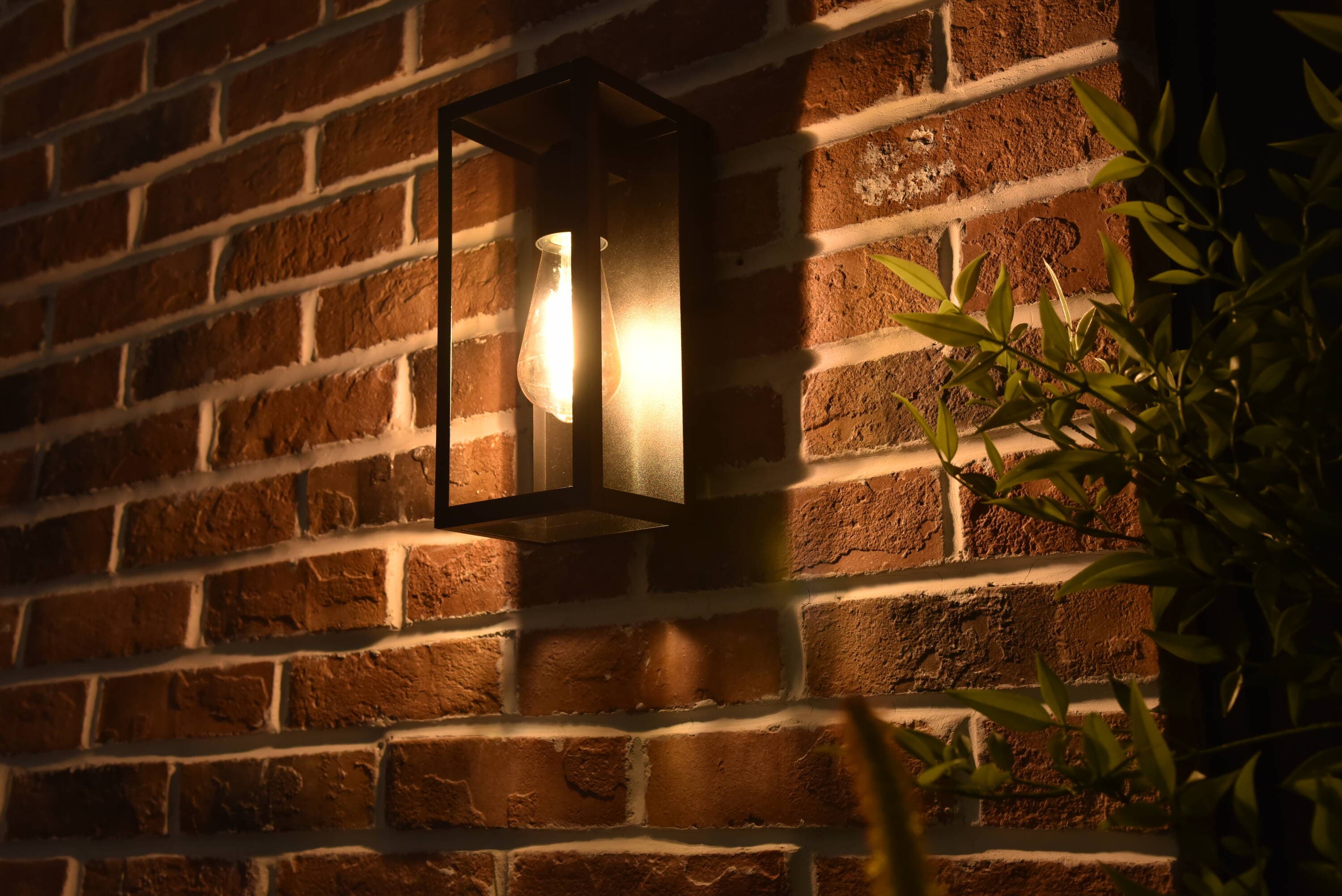 Project Source 5116001012 Outdoor-Wall-Lighting - View #4