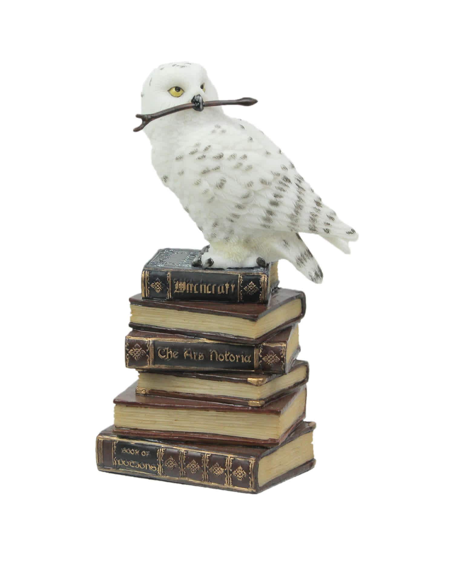 Veronese Design US-WU77755AA White Snowy Owl Perched On Stack of Magical Books Statue
