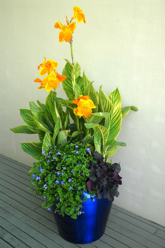  1110 perennials - View #4