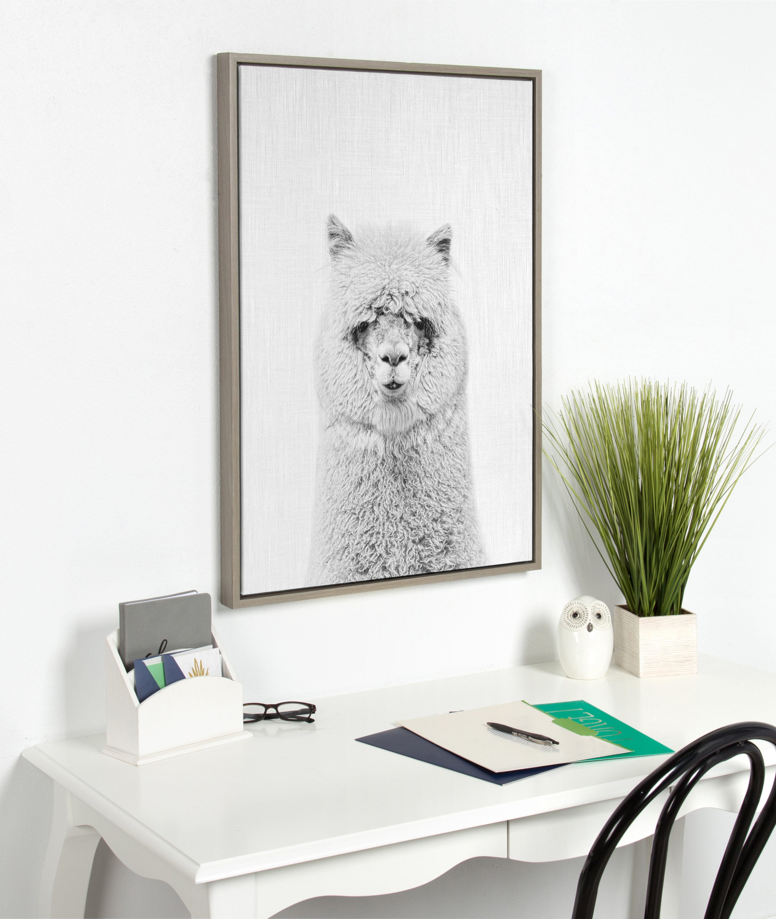 Kate and Laurel Hairy Alpaca Tai Prints Gray Framed 33-in H x 23-in W  Animals Print on Canvas in the Wall Art department at