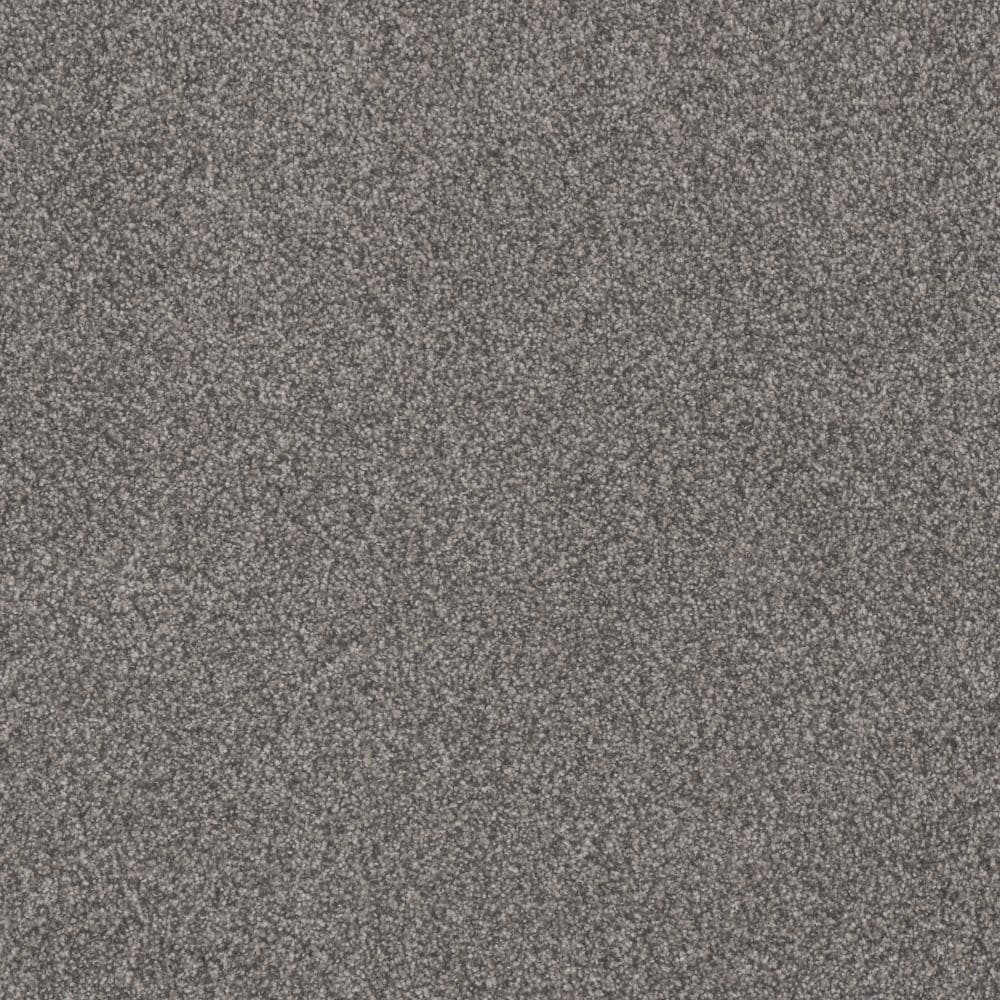 STAINMASTER S9664-114-1200-MO Playa II Sunshine Gray 64-oz sq yard Solution-dyed polyester Textured Indoor Carpet