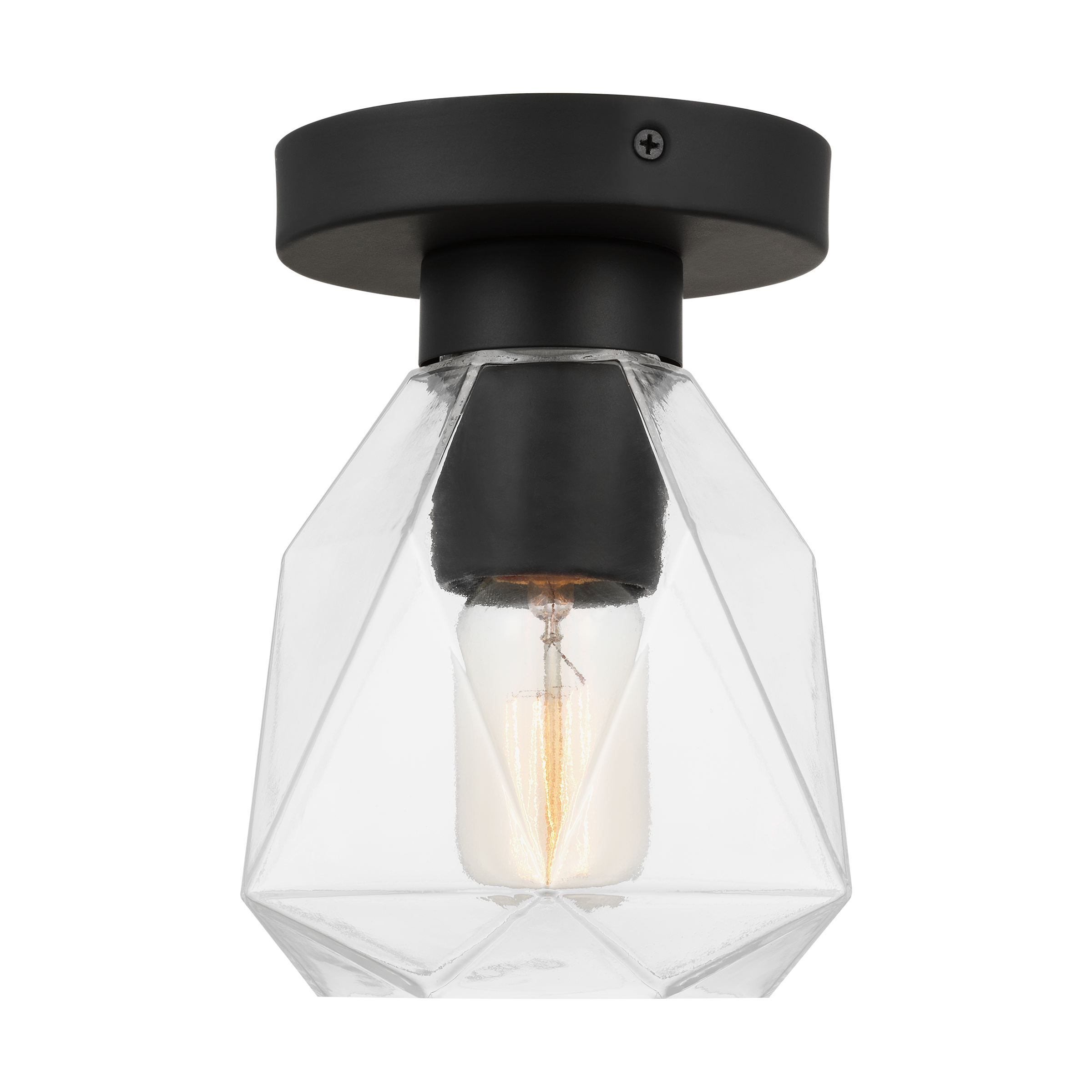 Generation Lighting 7000701-112 flushmounts - View #8