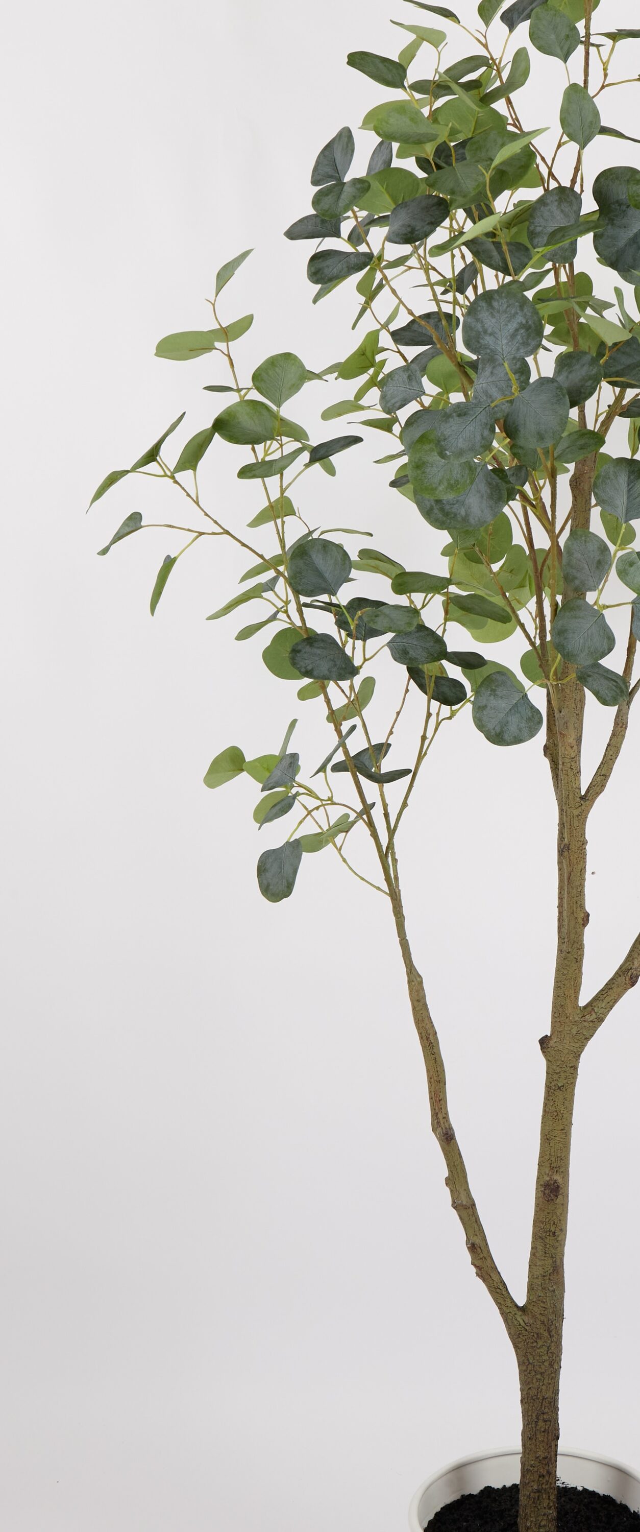 allen + roth 22LOW071 Artificial-Plants-Trees - View #5