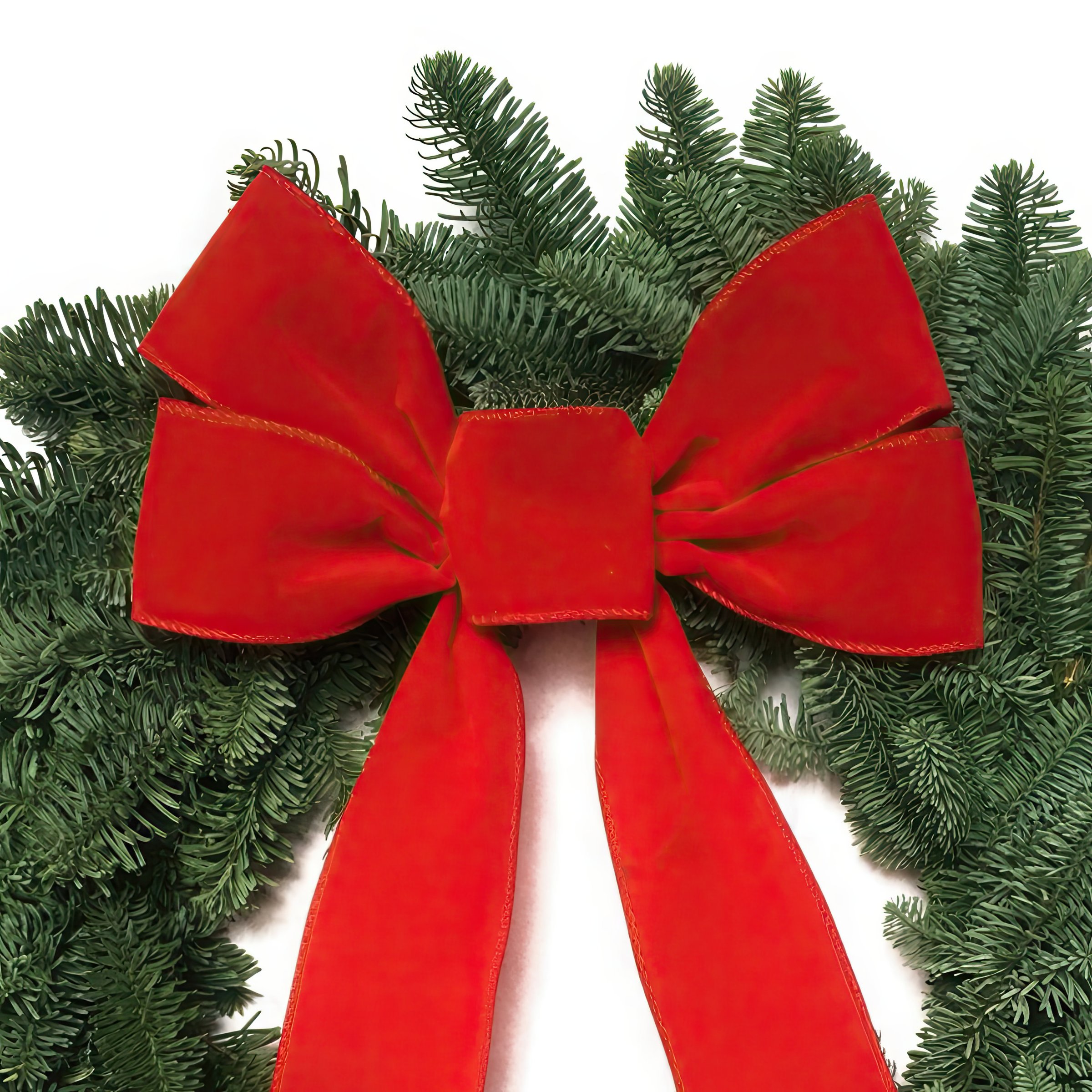 National Plant Network LW1859 Fresh-Wreaths - View #3