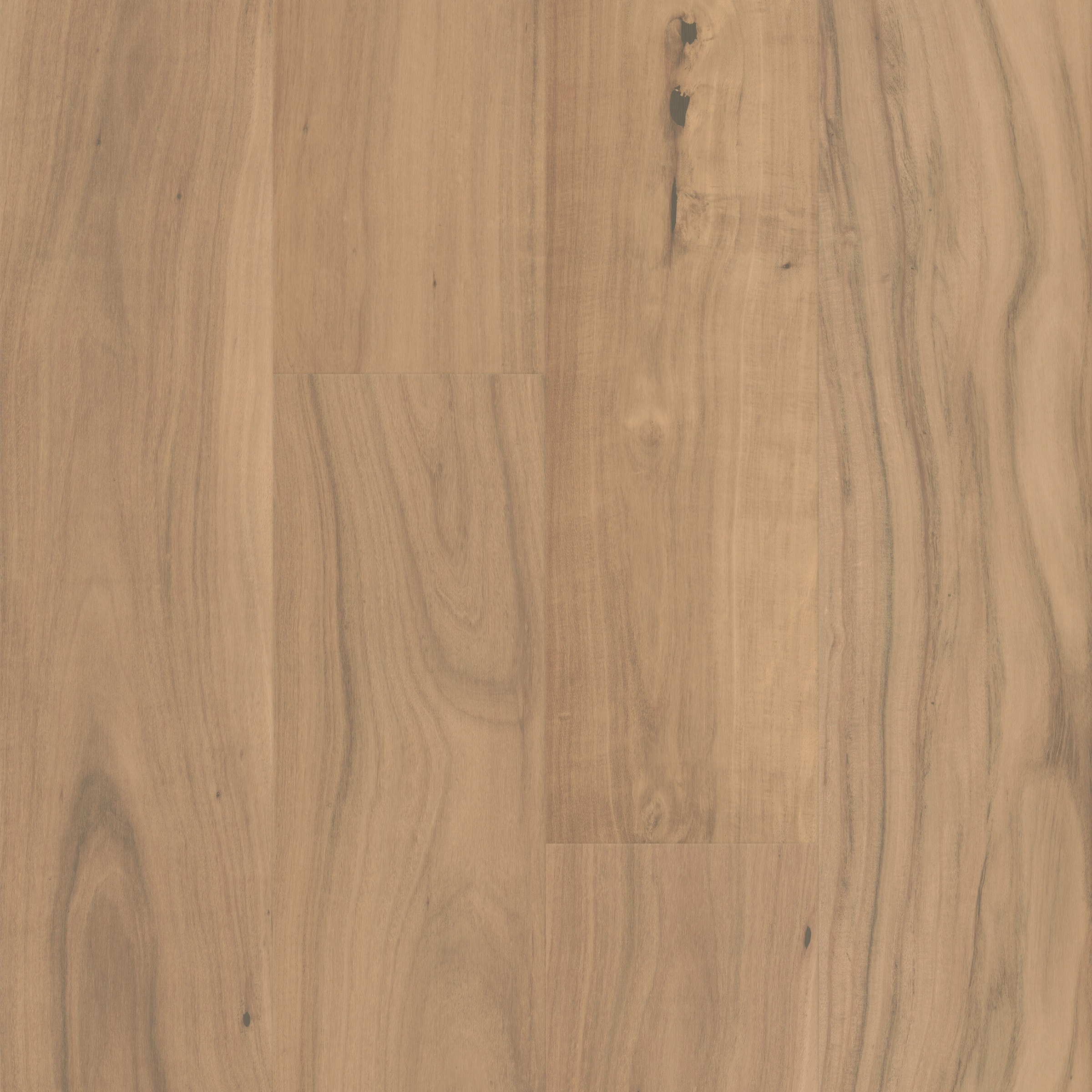 CALI (Sample) Varietals Clarified Acacia Acacia Wirebrushed Engineered Hardwood Flooring