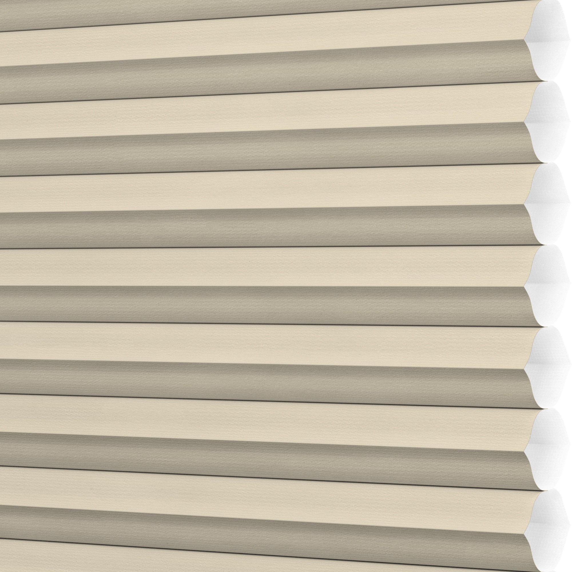 LEVOLOR 511413 Cambrica Tumbleweed Light filtering Polycotton 3/4-in Single Cambrica Cellular shade swatch