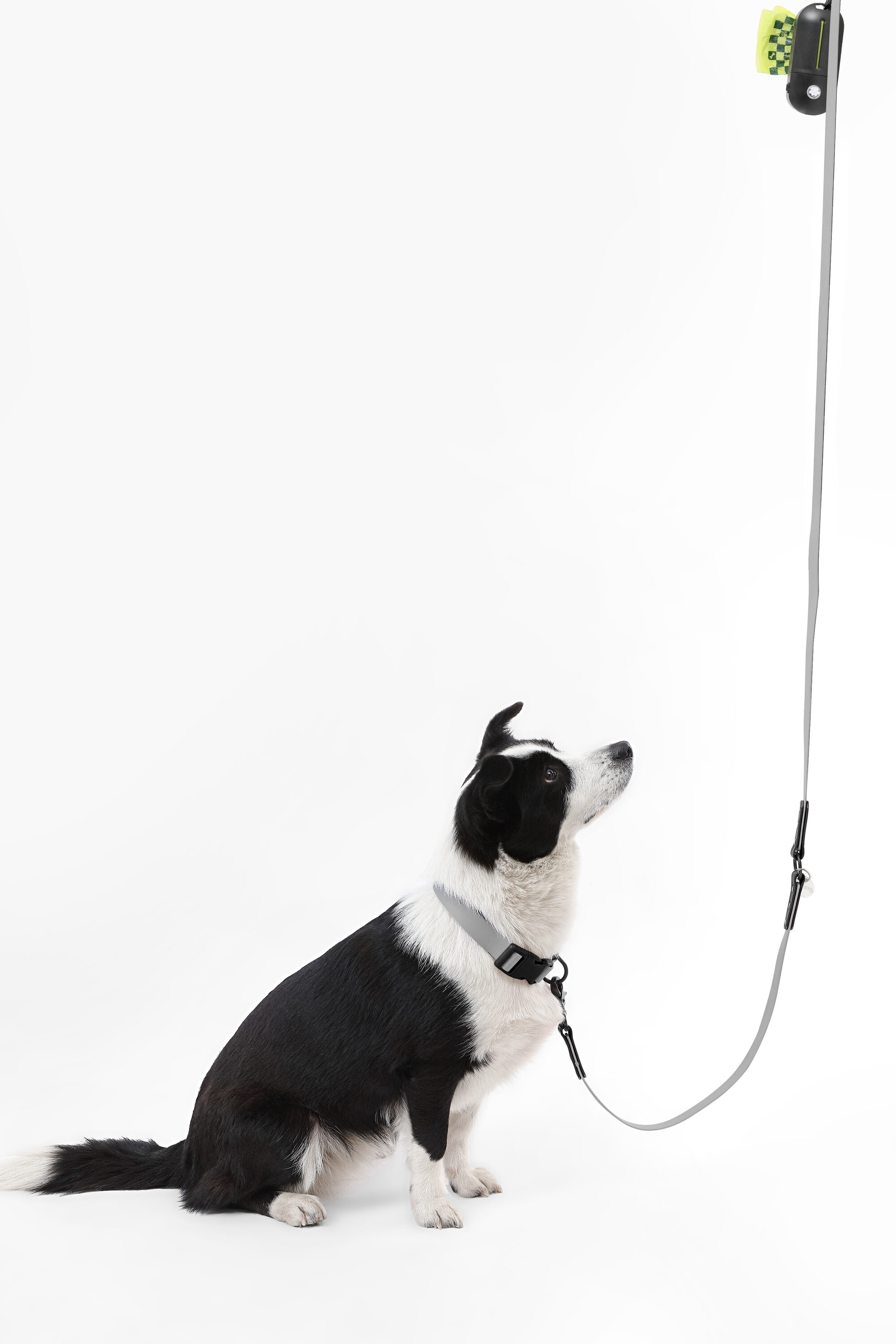 The Licker Store WLK1006N-5SET Dog-Collars-Harnesses - Thumbnail View #3