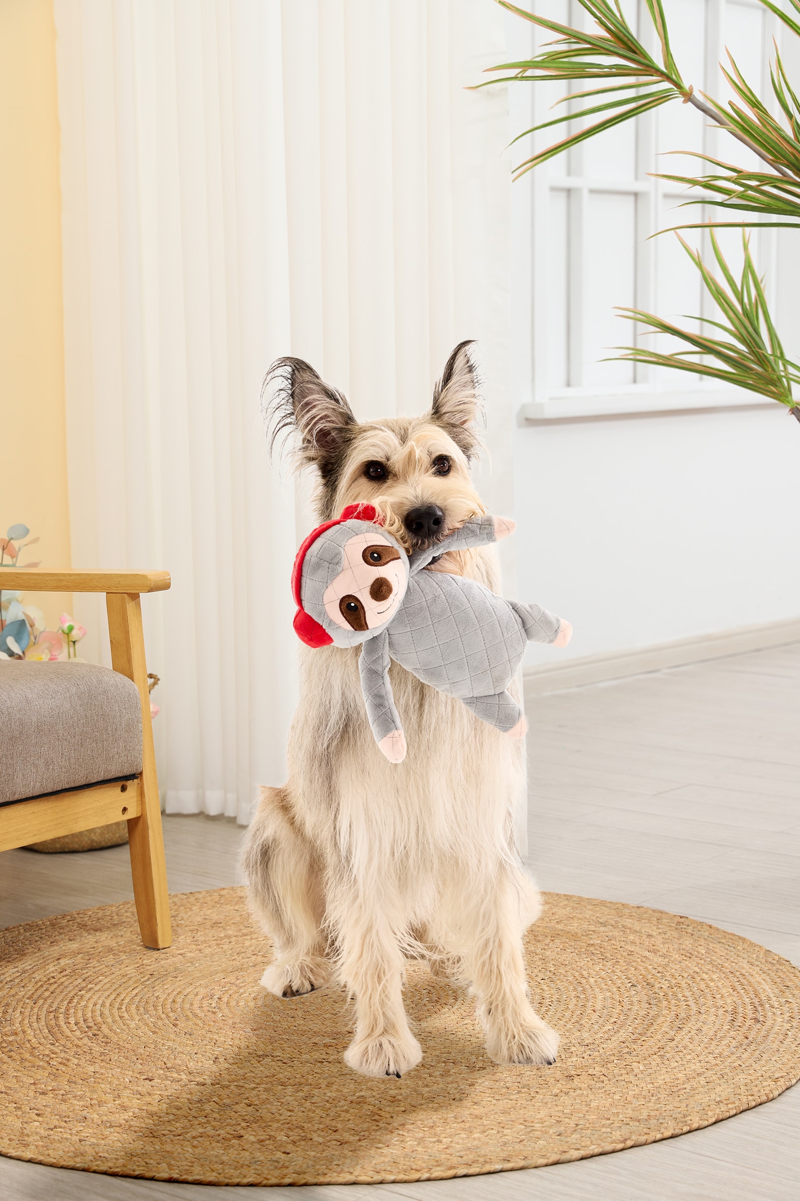 Holiday Living YT2501 Dog-Toys - View #5