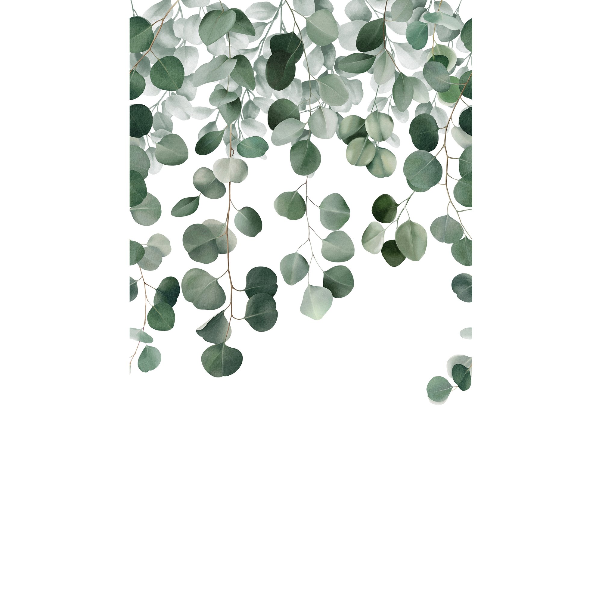 Galerie Orom II Photographic All-over Print Green Mural A73201