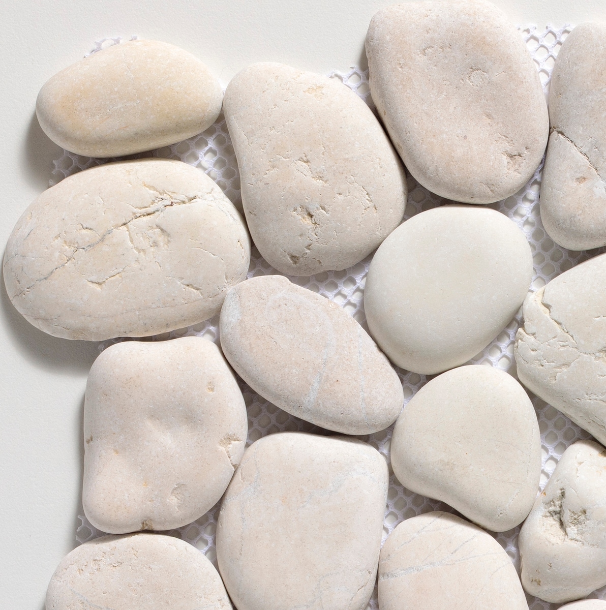 CRUZ BAY STUDIO ULSC5X7XP3PWH Sample - Classic Pebble Off White 4-in x 6-in Natural Floor and Wall Tile
