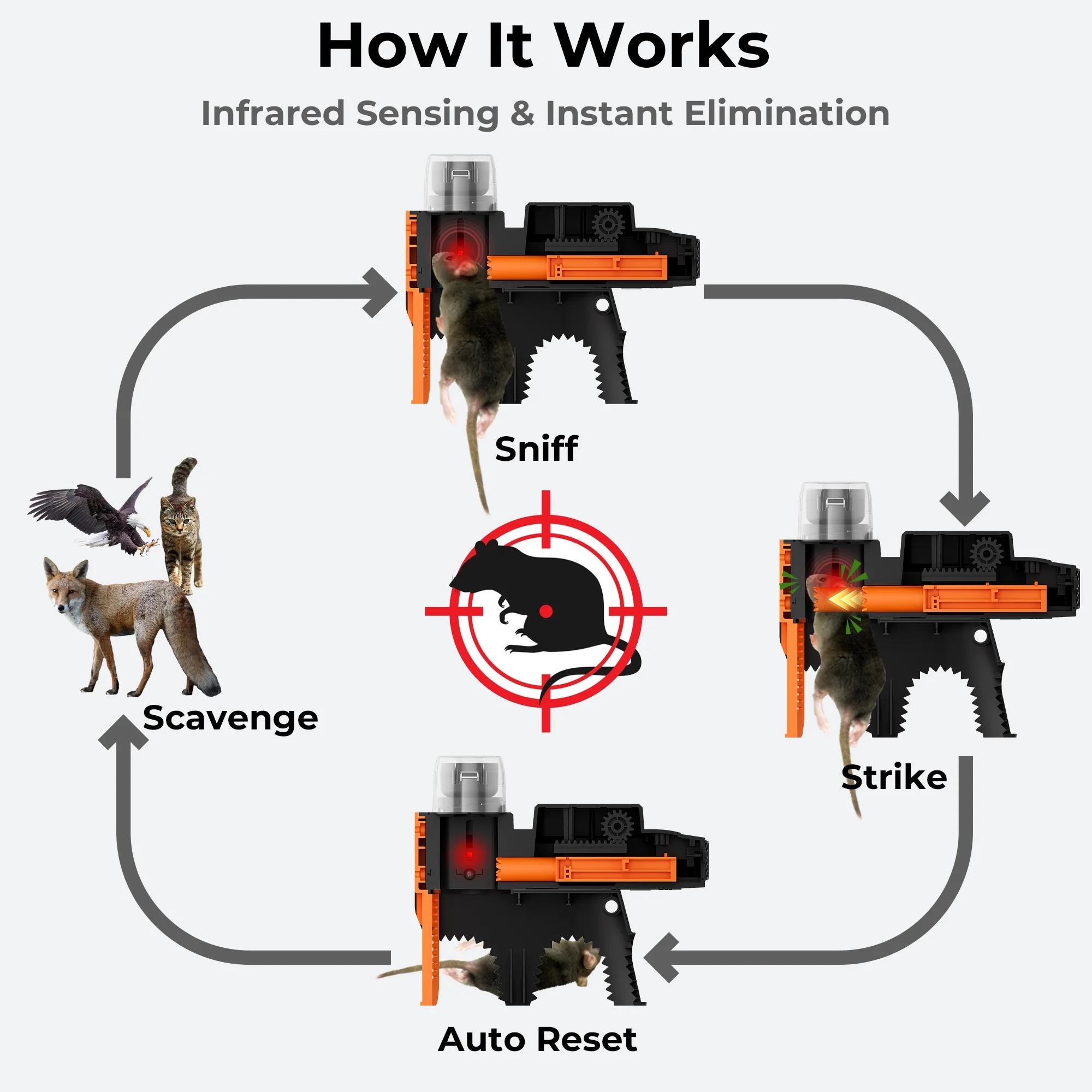LAUSAINT HOME BSWXRAT00101 Animal-Rodent-Control - View #4
