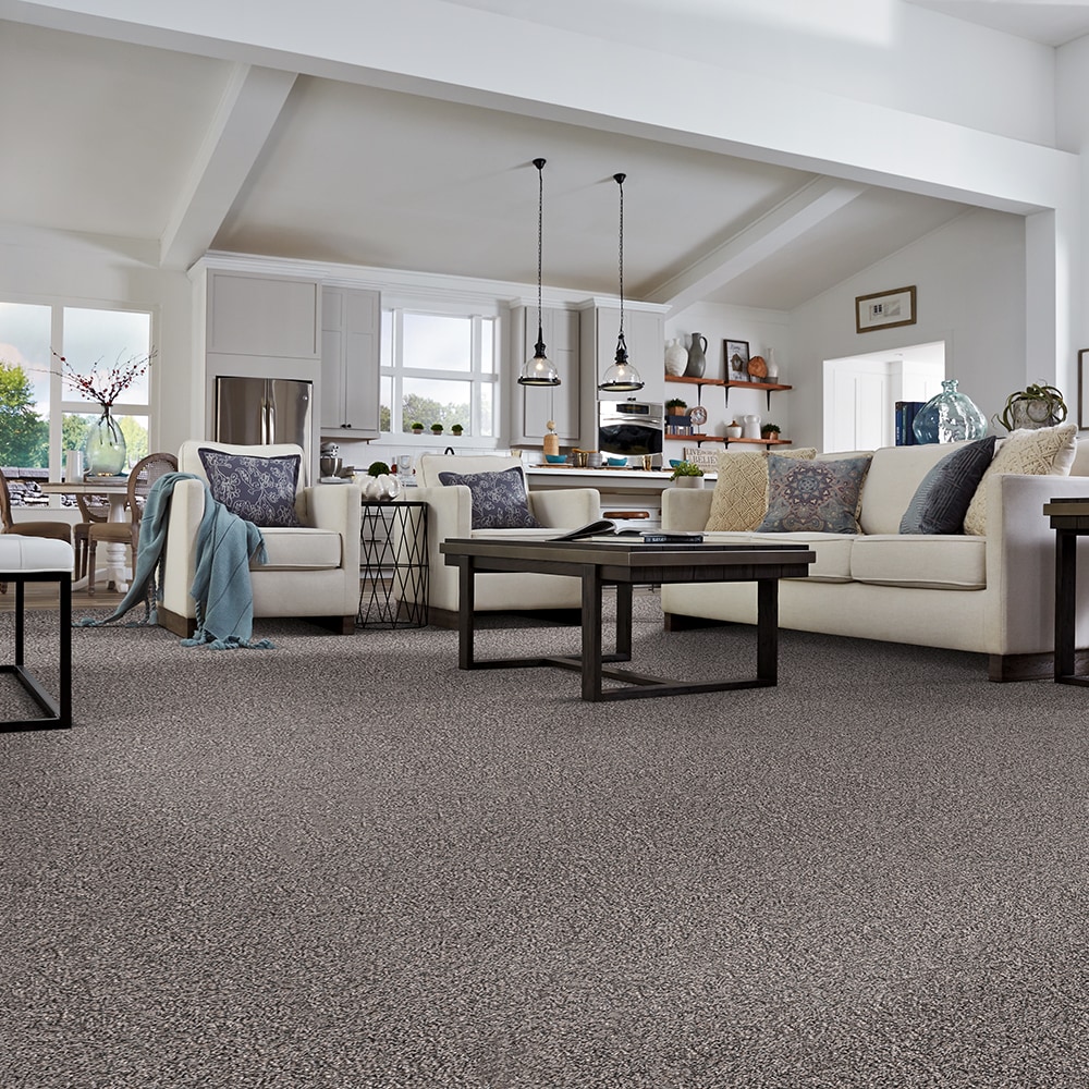 STAINMASTER S8754-989-S Carpet-Samples - View #5