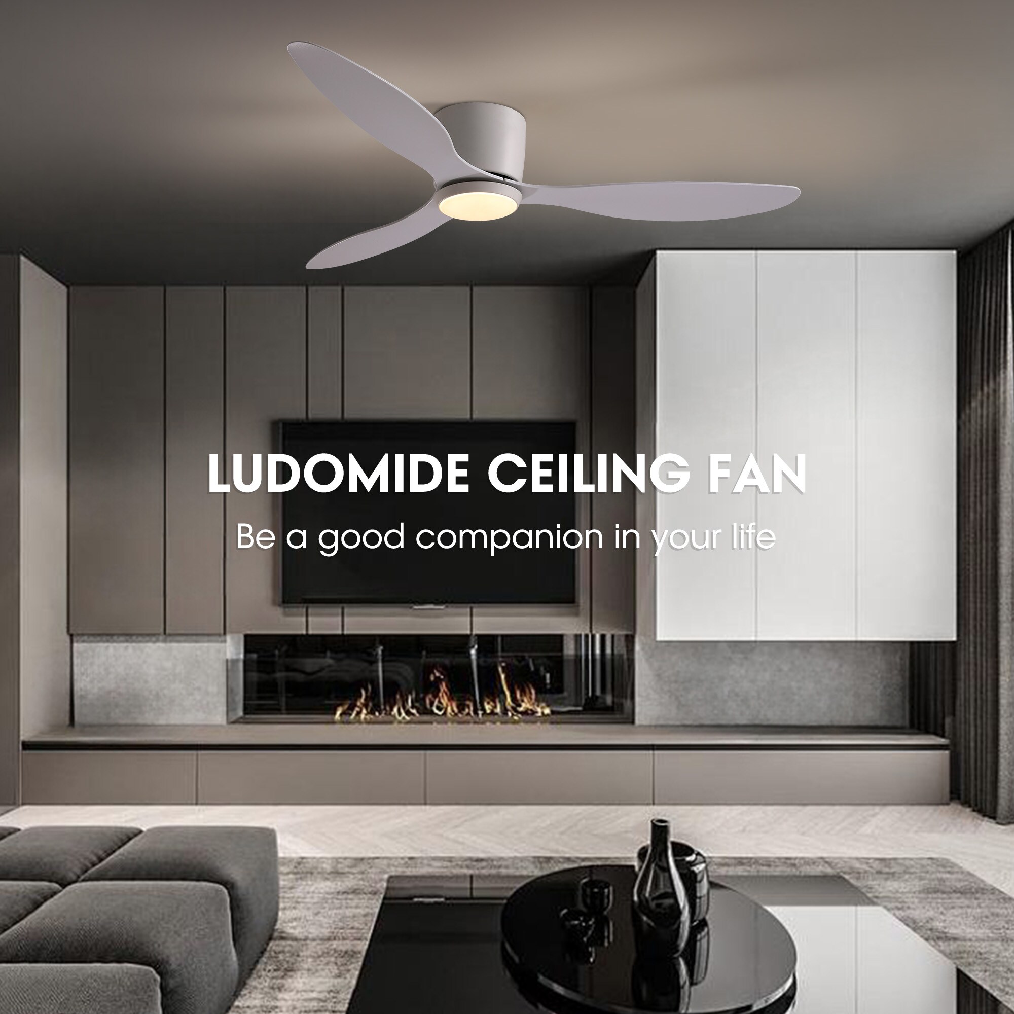 SILJOY CFL-1164-01 Ceiling-Fans - View #10