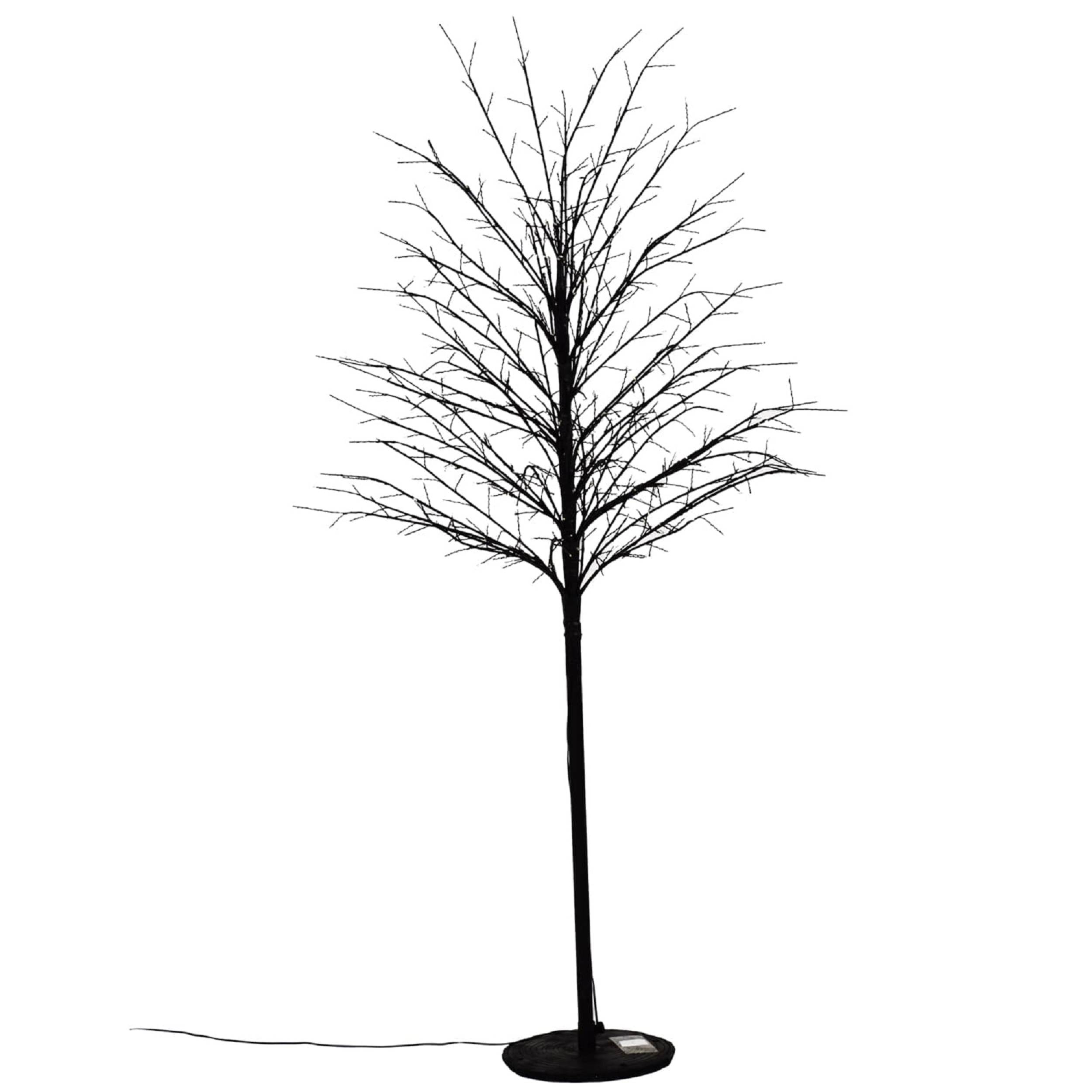 Black Twig Tree