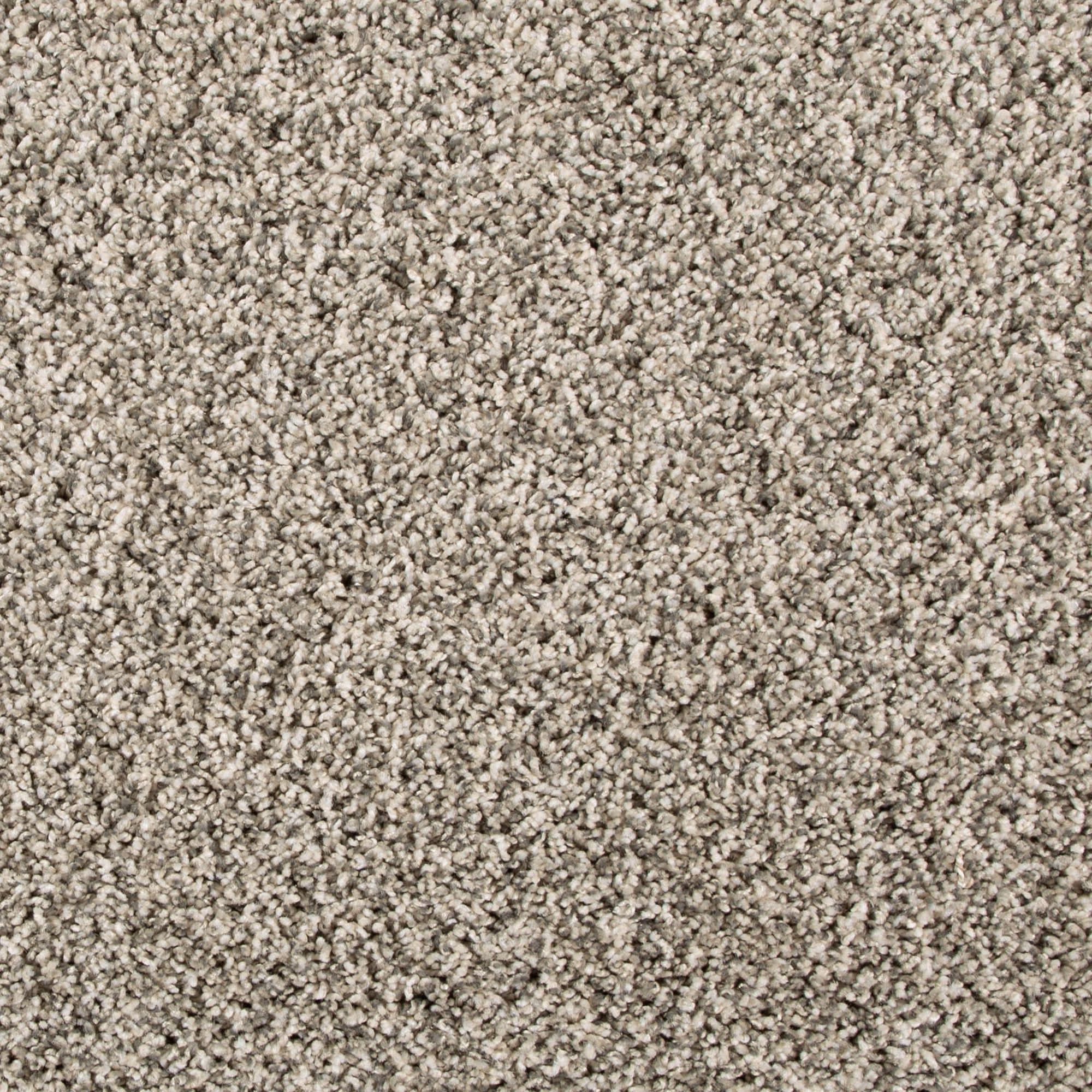 Style Selections SS050-12-L007 Express Install True Read III Reflection Gray 50-oz sq yard Solution-dyed polyester Textured Indoor Carpet