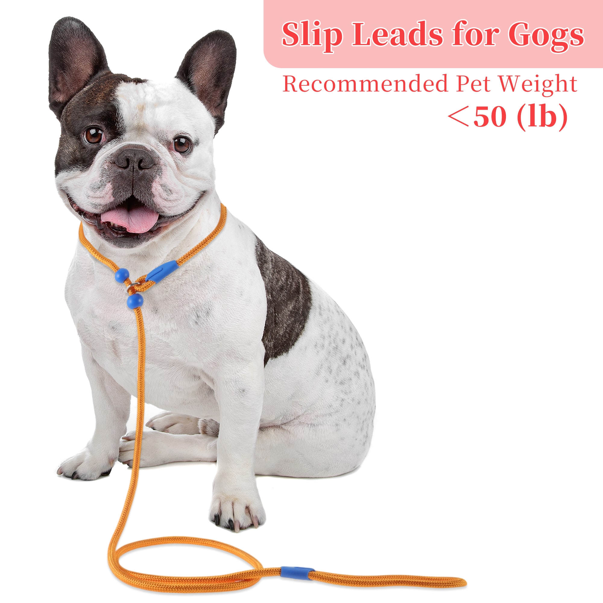 Unique Bargains Slip Leads for Dogs 5FT No-Pull Dog Leash with ...