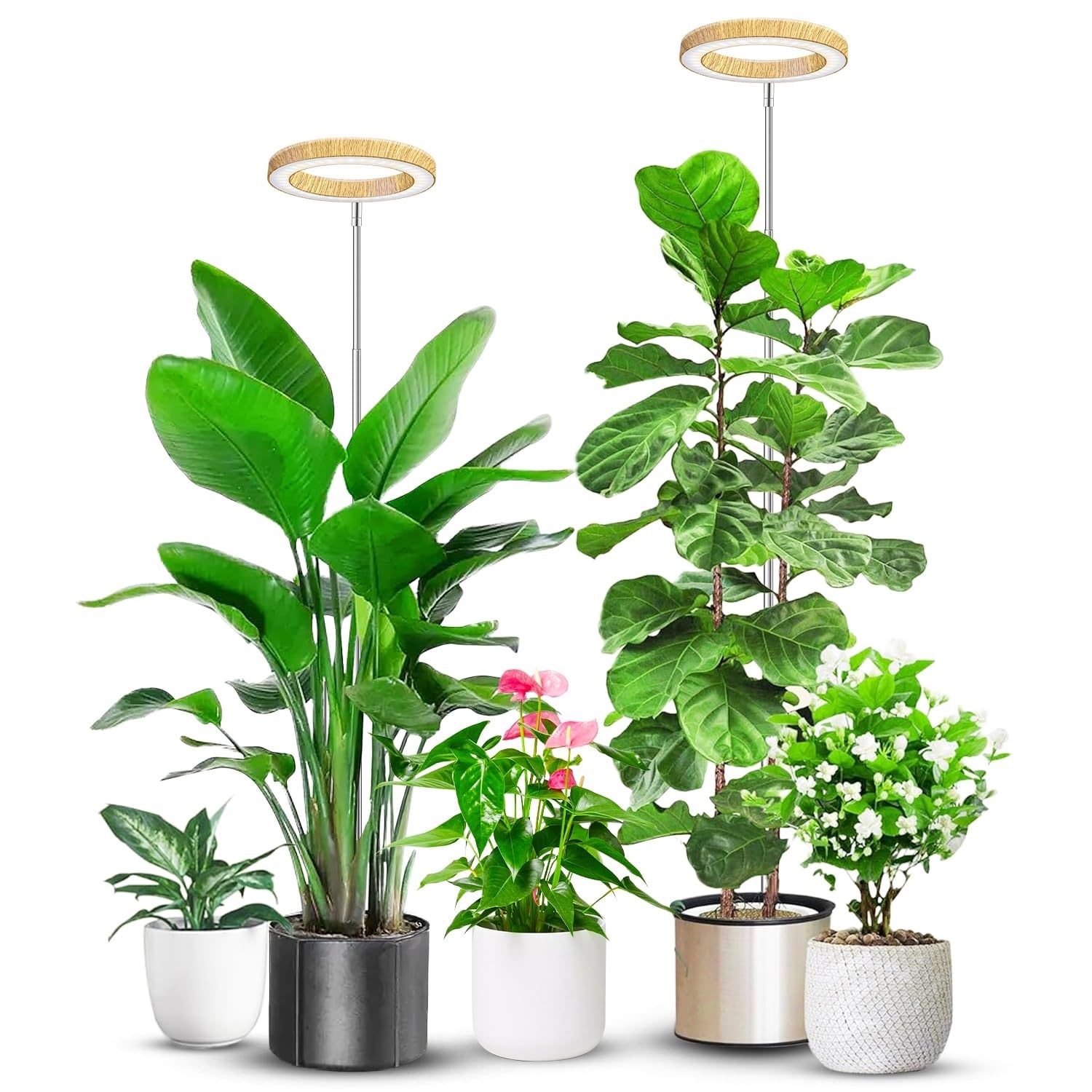 Anqtovp  Grow Light for Indoor Plants Full Spectrum 80 LED Adjustable Height 10 to 65 Inch Faux Wood Grain 3 Spectrums 5 Brightness Levels with 6