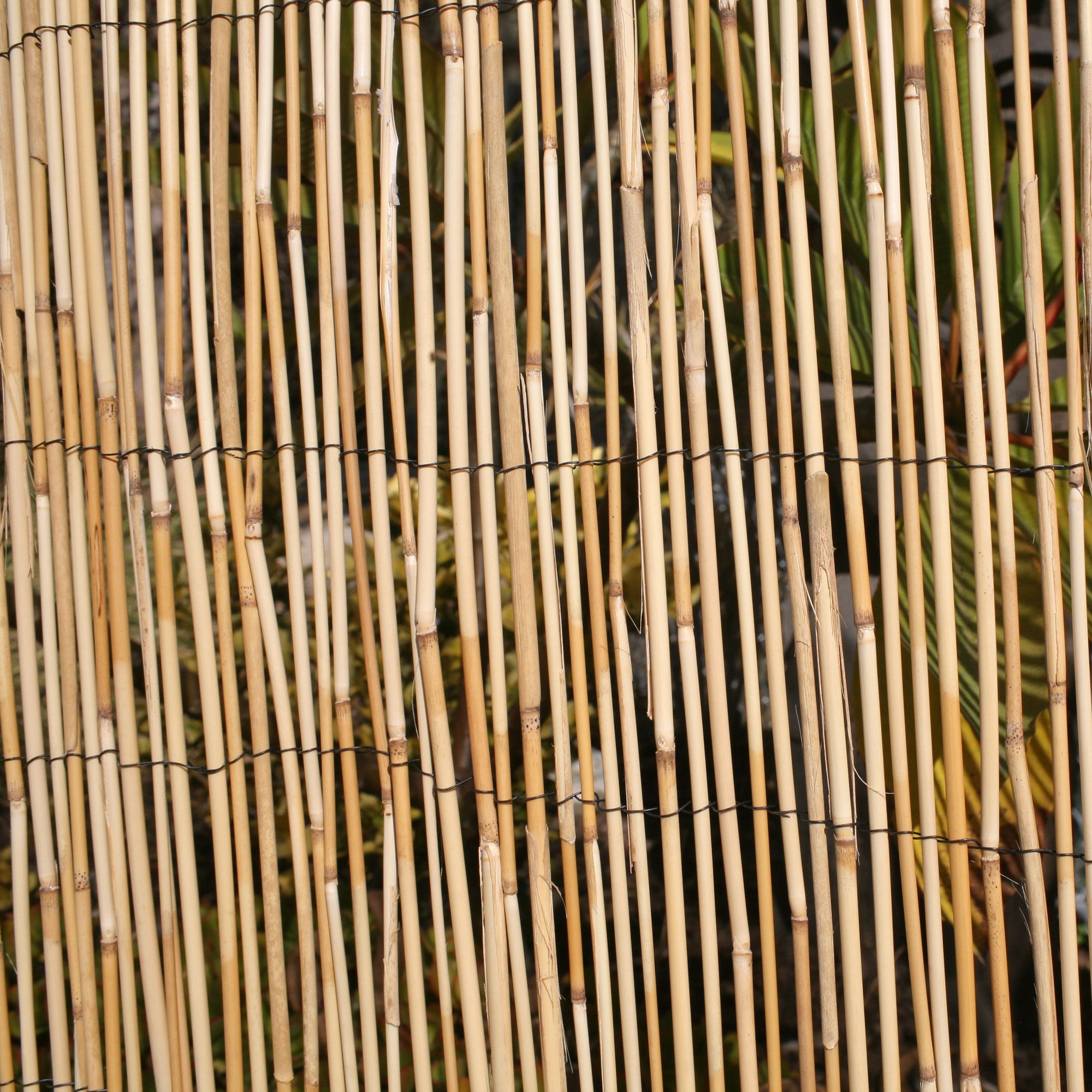 Backyard X-Scapes 20-N6PK4 Wood-Fence-Panels - View #4