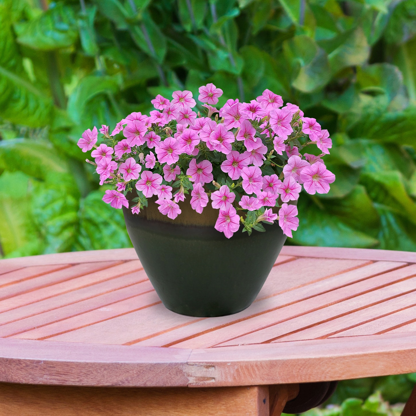 Sunnydaze Decor AP-084 Planter-Window-Box - View #15