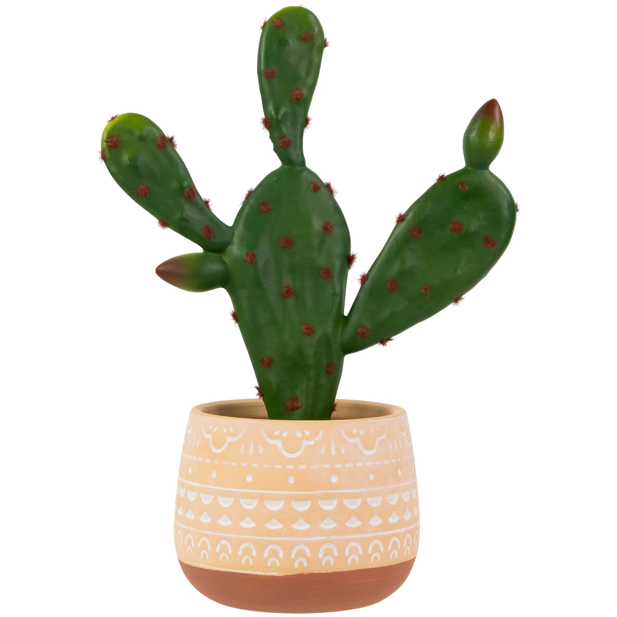 Northlight NORTHLIGHT HF94688 Real Touch Artificial Green and Red Potted Floral Cactus - 9.5 inch