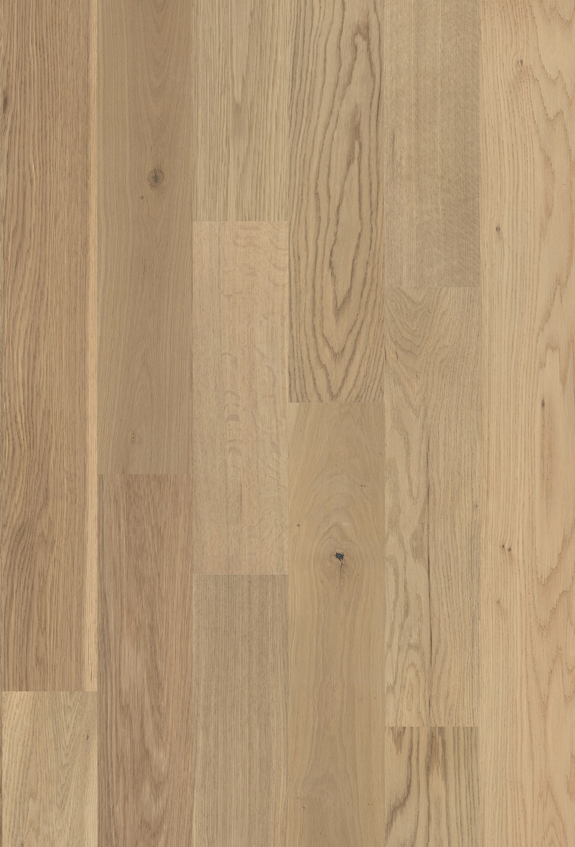 Zalan Floors 5995292 Wood-Floors - View #8