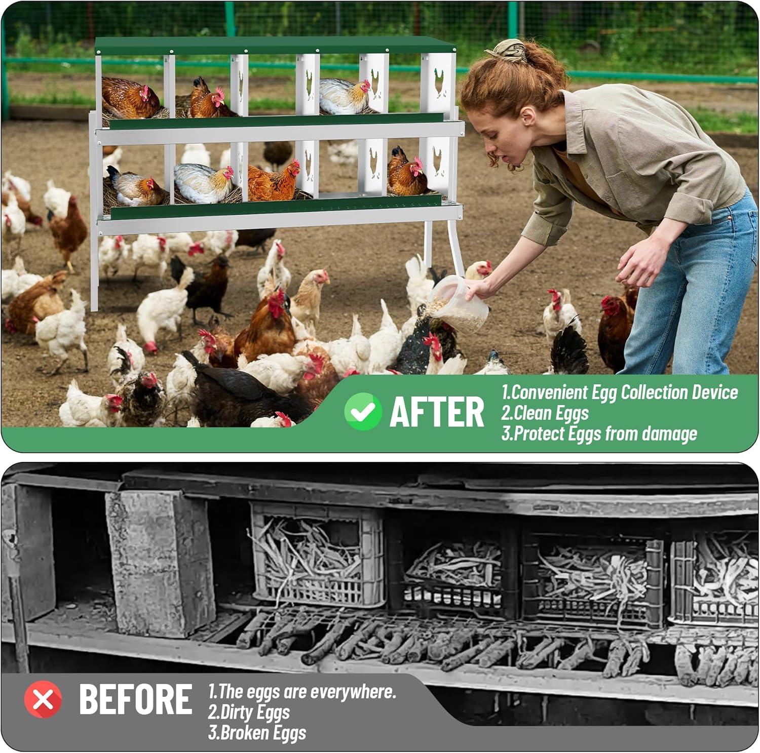 Qeetex GGL-PHO-348SCHLC Chicken-Coops-Rabbit-Hutches - View #4