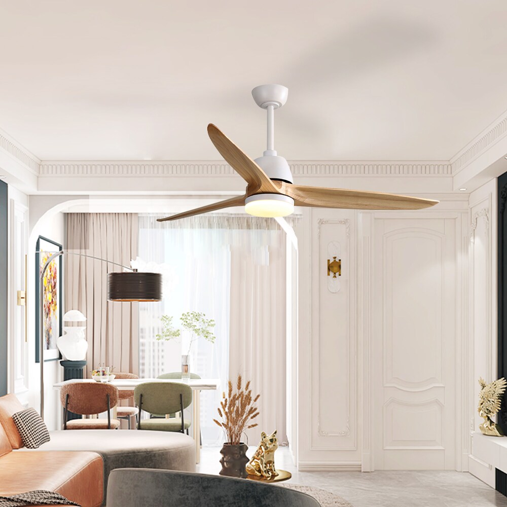 Sunrinx CF-14-DS Ceiling-Fans - View #7