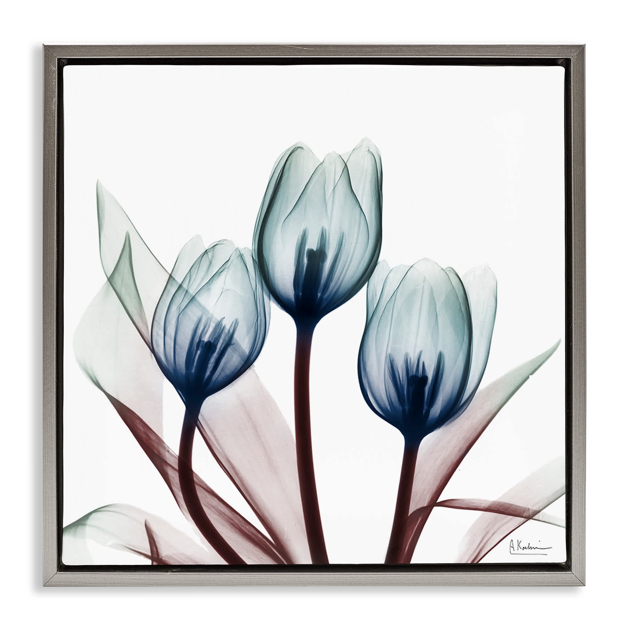 Stupell Industries BS-015-FFL-24X24 Chic Blue Translucent Tulips Floating Frame design by Albert Koetsier