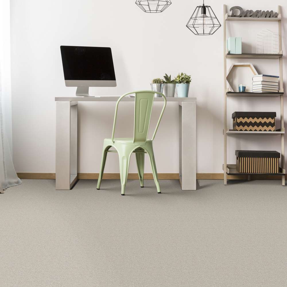 STAINMASTER 7L79100511 Carpet-Panel - View #4