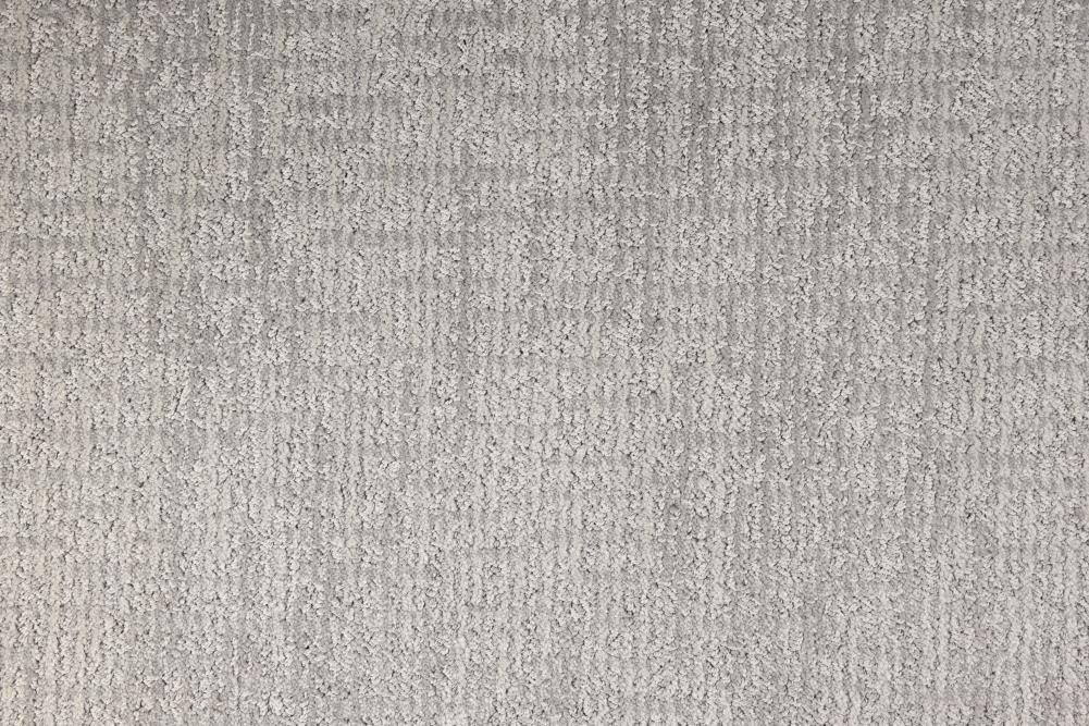 STAINMASTER DL017-103S (Sample) PetProtect Pembroke Evening Shadow Pattern Carpet