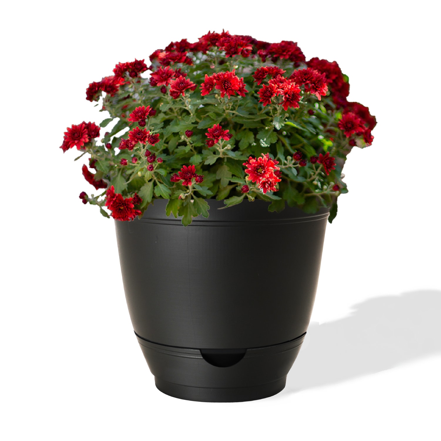 Style Selections DP2132R/DPS2132R-BLK Planter-Window-Box - View #2