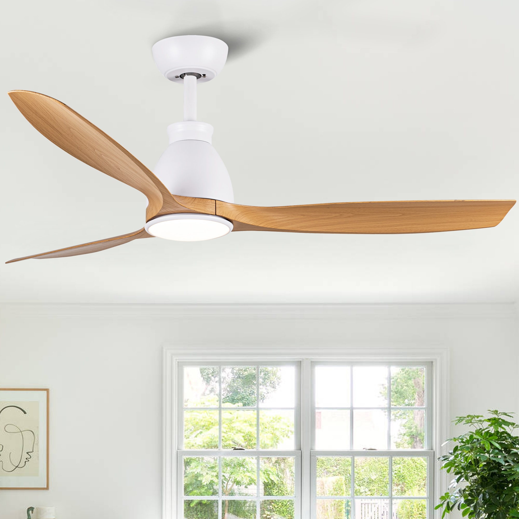 Fun Orange FUN26CF18 Ceiling-Fans - View #2