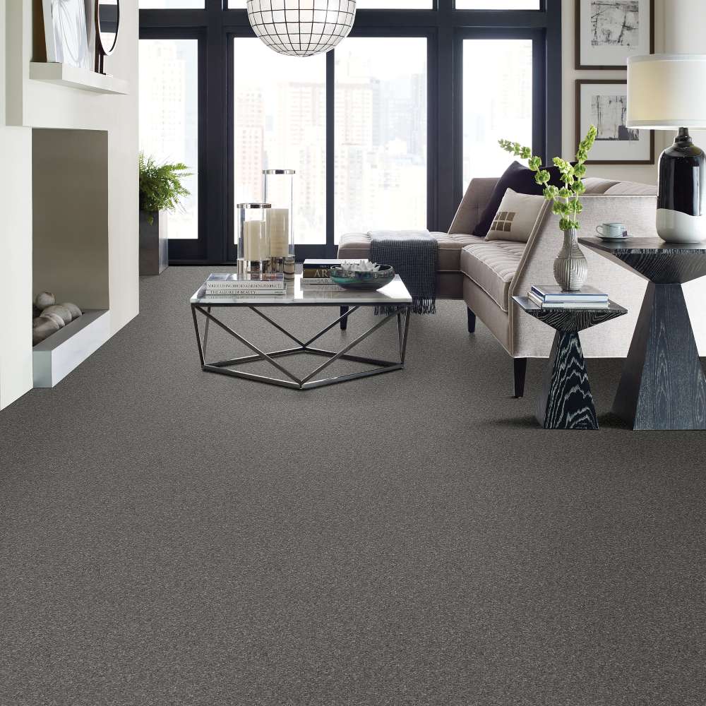STAINMASTER 7L790-527-SAMP Carpet-Samples - View #3