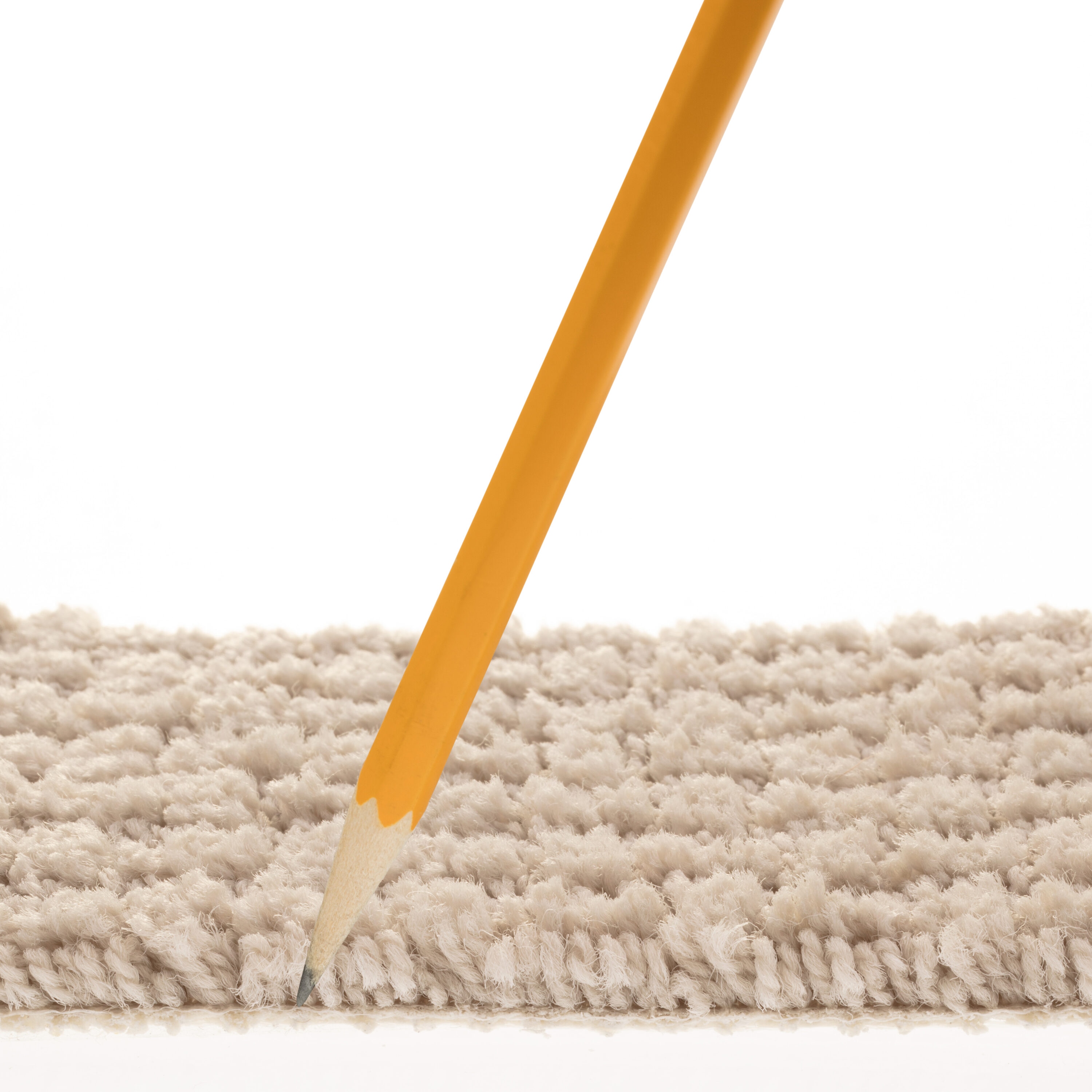 STAINMASTER 7L903 - 175 - SAMP Carpet-Samples - View #7