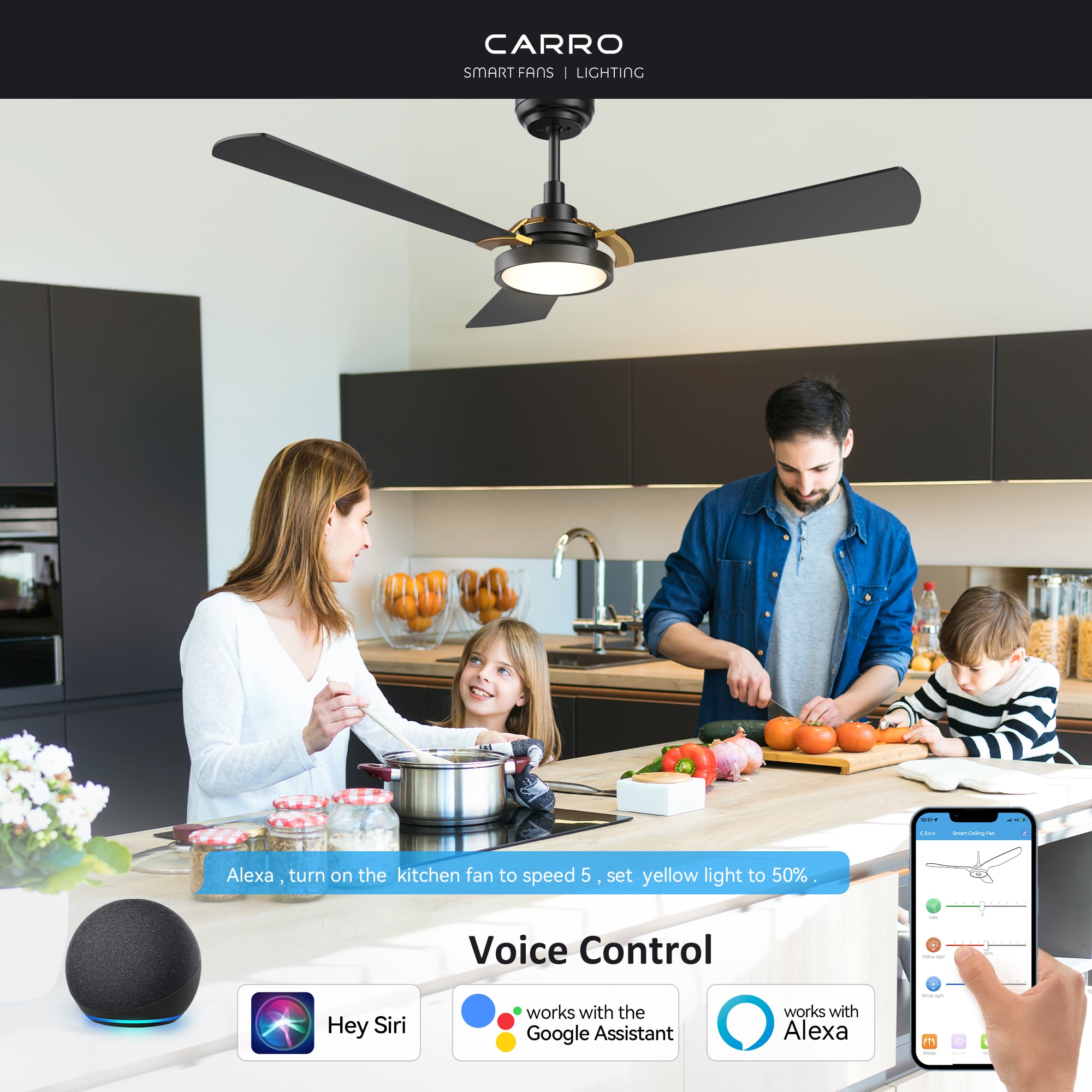 CARRO USA LS563B3-L22-B2-1G Ceiling-Fans - View #3