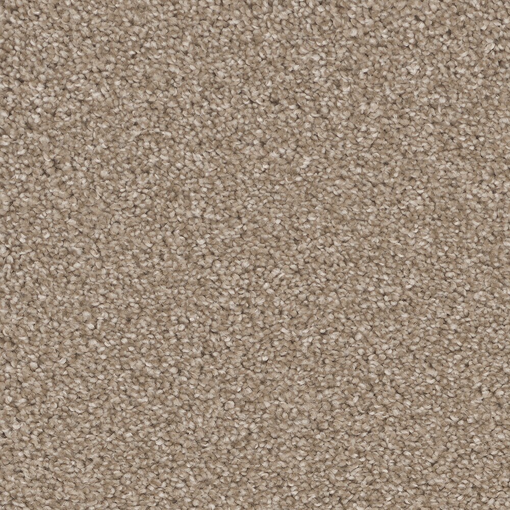 STAINMASTER S9768-743-S (Sample) Nags Head Treasure Brown 68-oz sq yard Polyester Textured Indoor Carpet
