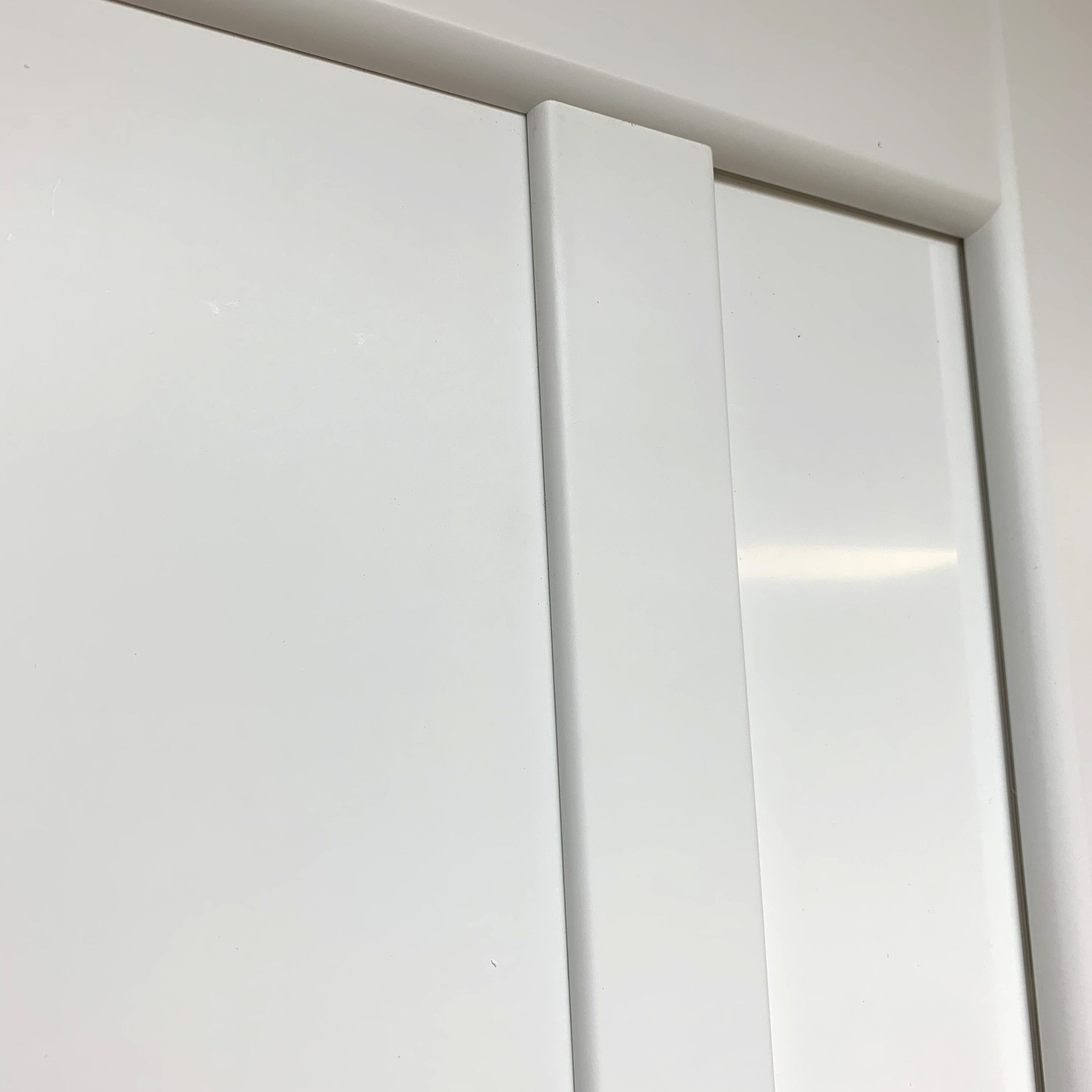 Valusso Design Pensacola 30-in x 80-in White Frosted Glass Solid Core ...