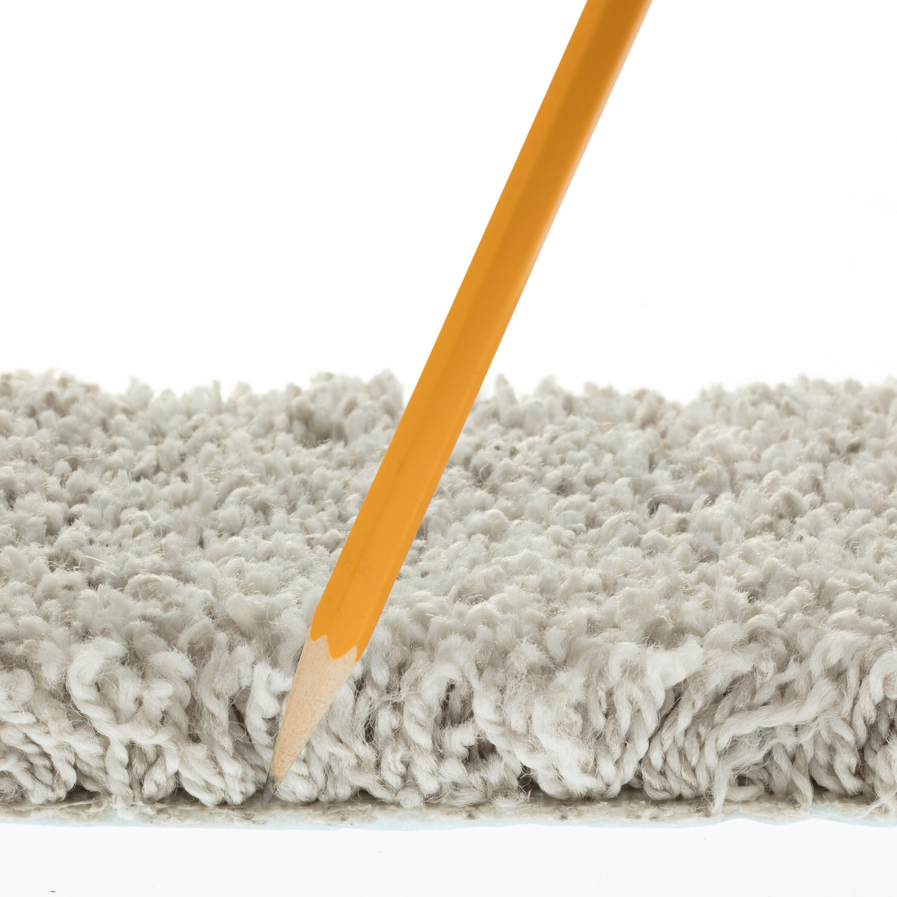 STAINMASTER 7L886 - 104 - SAMP Carpet-Samples - View #6