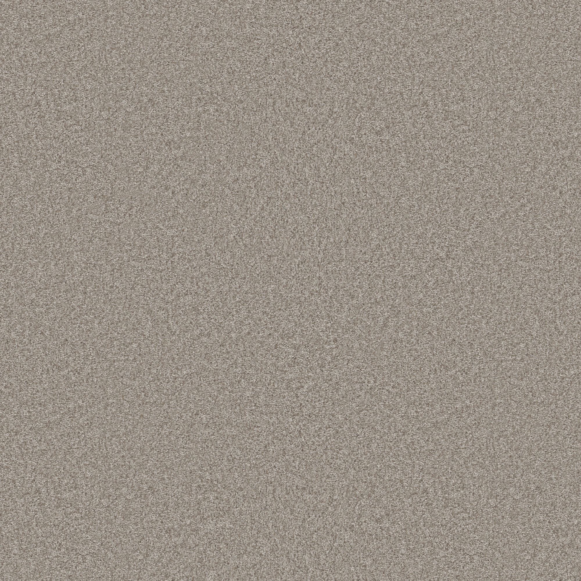 STAINMASTER Effortless Appeal III Chic Greige Gray 68.3-oz sq yard ...