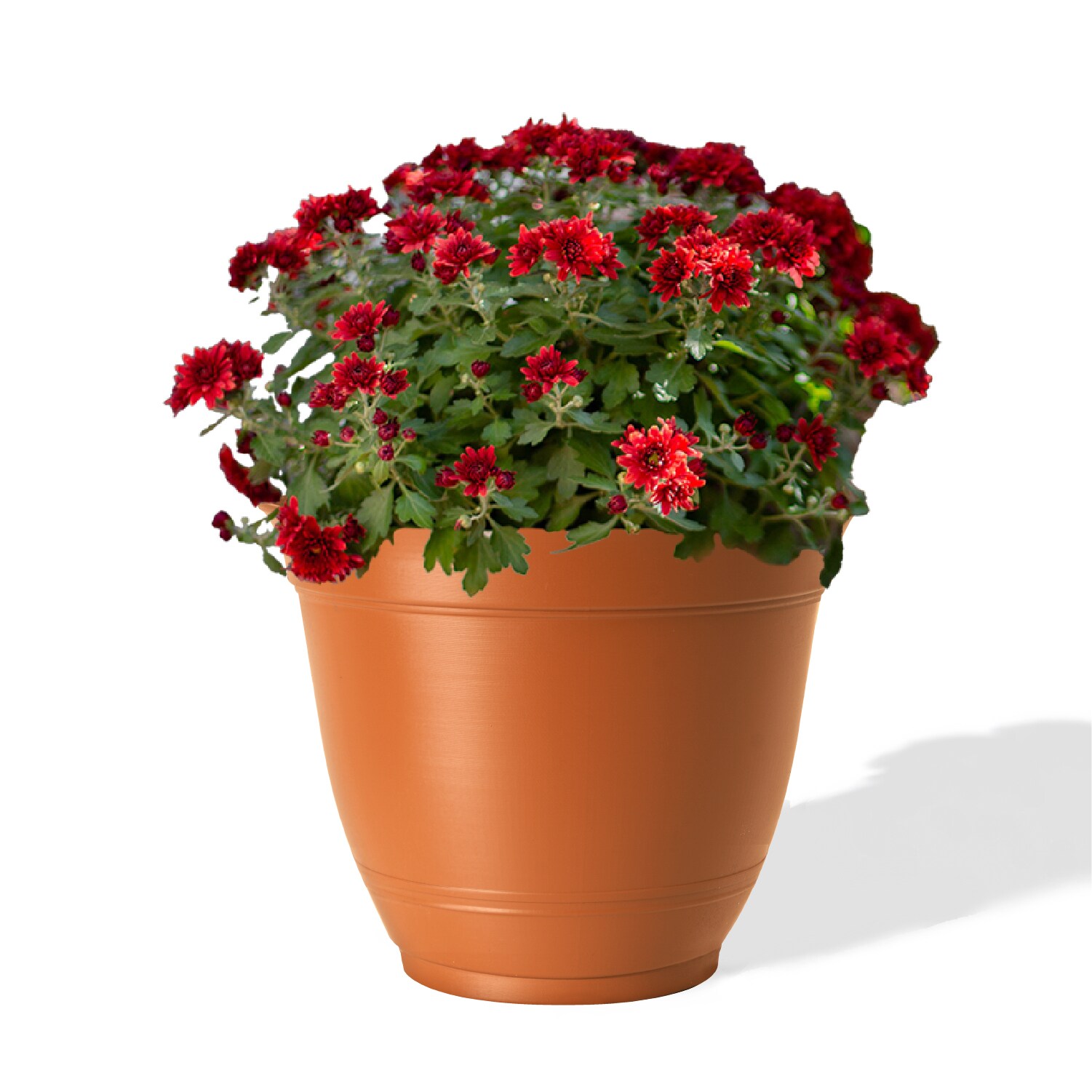 Style Selections DP2132F-CLAY Planter-Window-Box - View #2